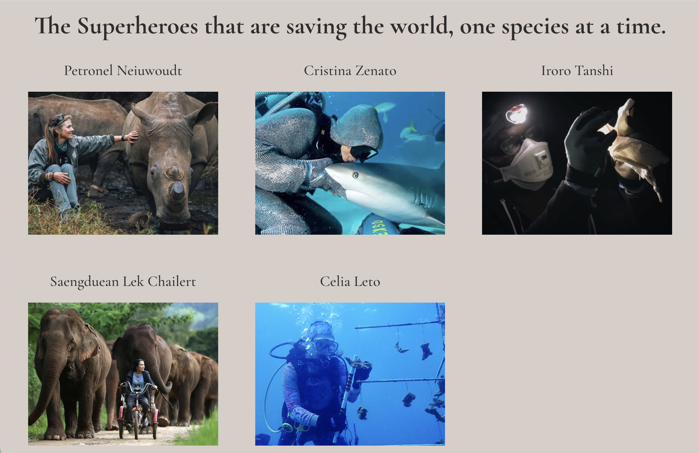 Screenshot 2026-01-09 at 4.22.33 PM.png