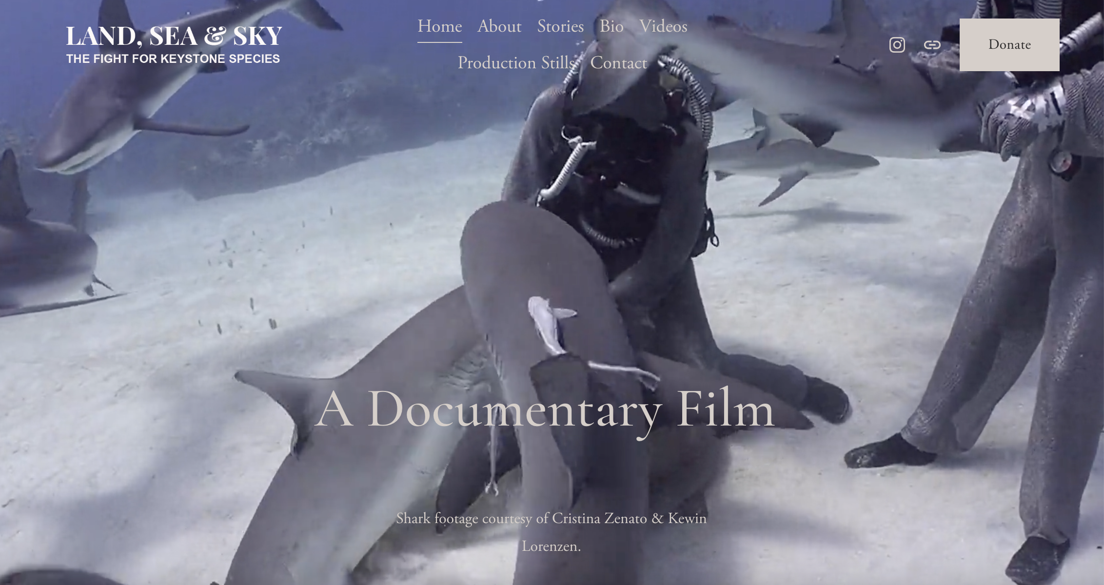 Screenshot 2026-01-09 at 4.23.35 PM.png