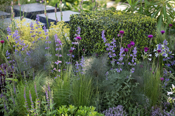 Quiet contemplation…