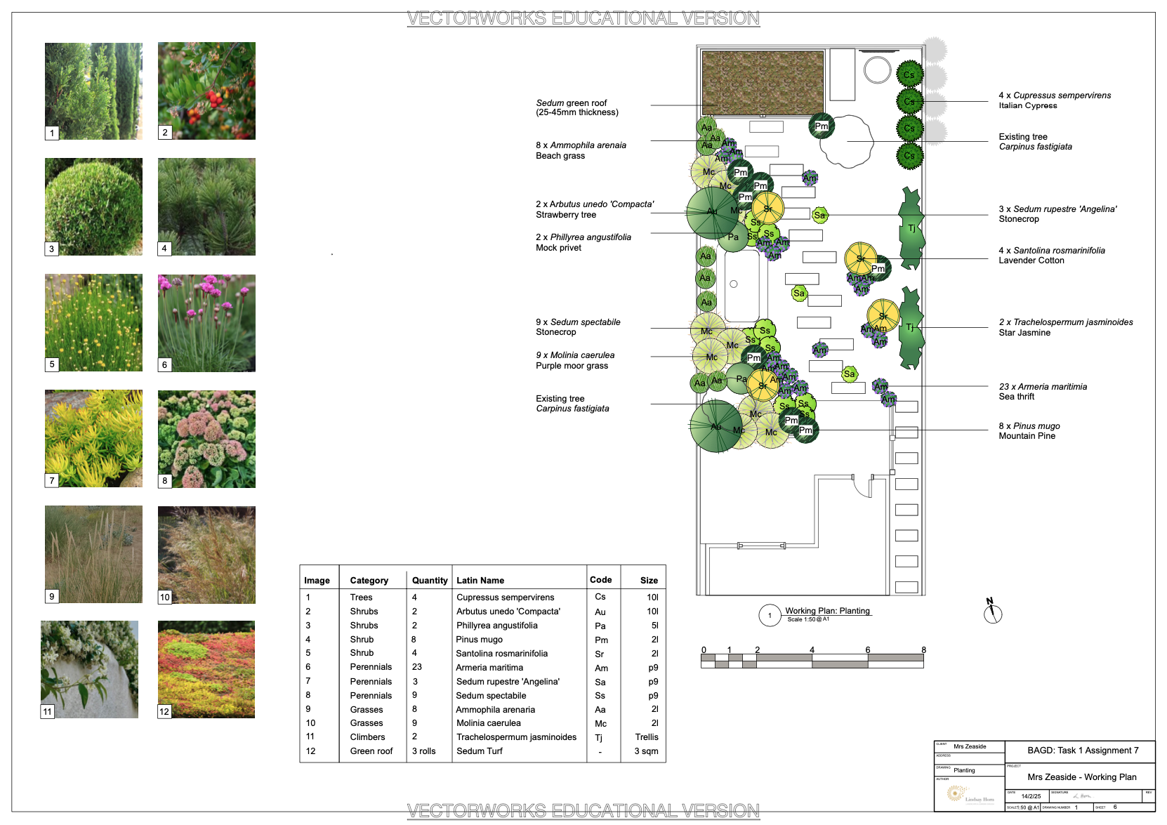 Coastal planting 2026-01-10 at 17.07.18.png