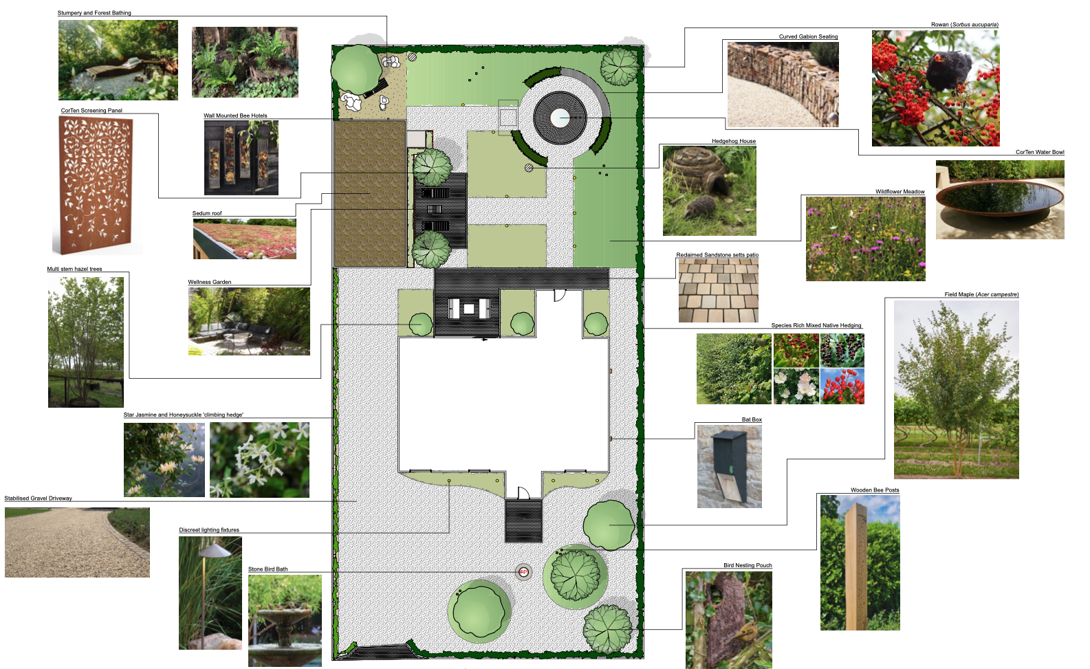 Wildlife Garden (Student Project)