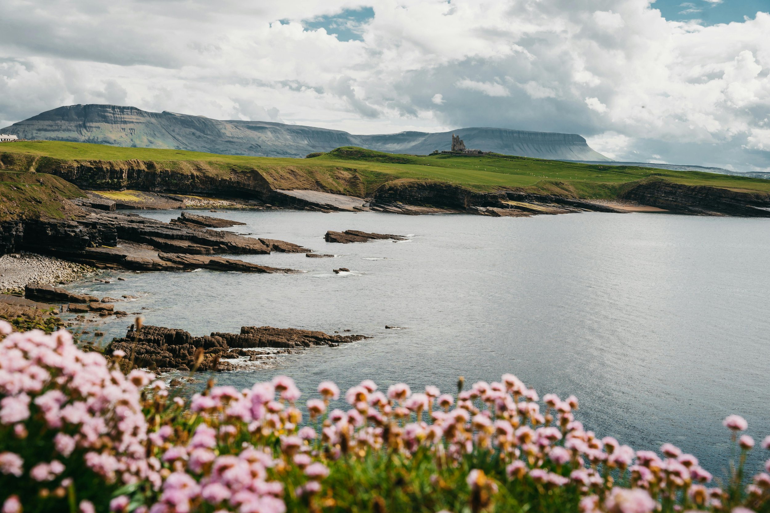 Scenic coastal landscape with pink flowers in foreground, rocky shoreline, green cliffs, castle on hill, and mountains in the distance under a cloudy sky.