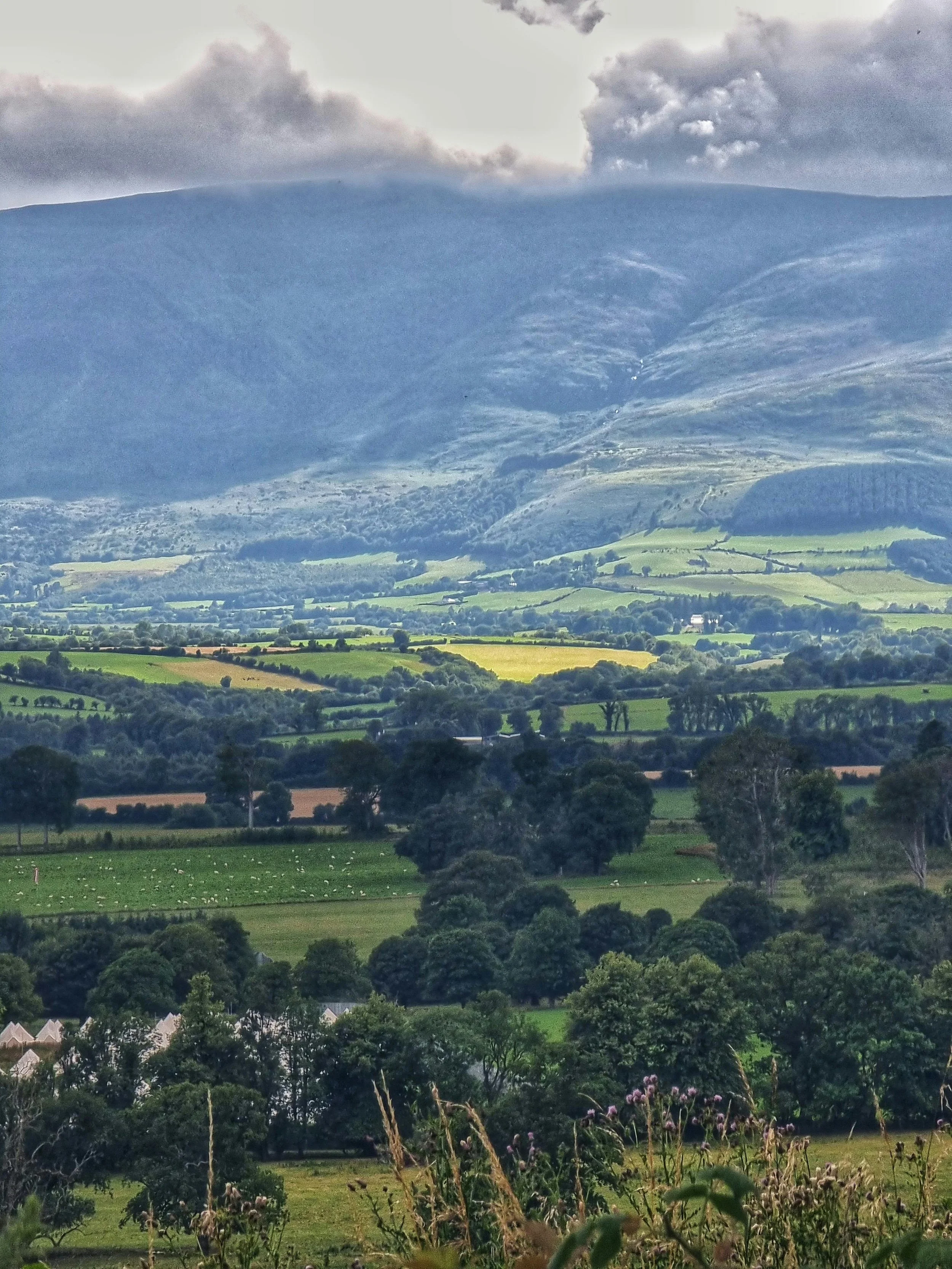 A scenic landscape featuring rolling green hills, patches of trees, and distant mountains under a cloudy sky.