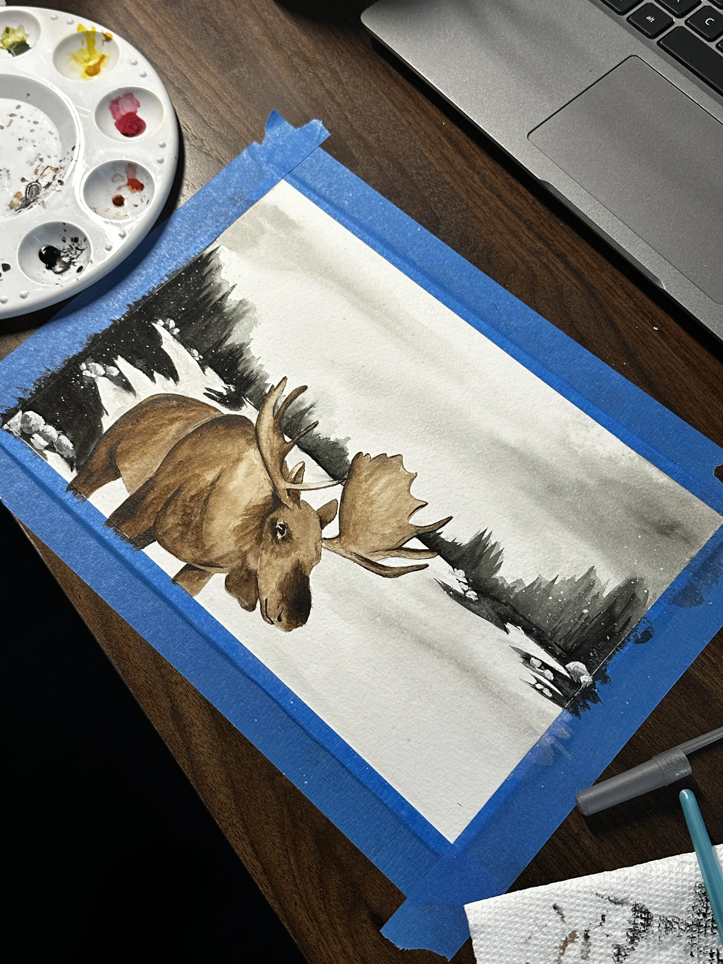 Snowy moose