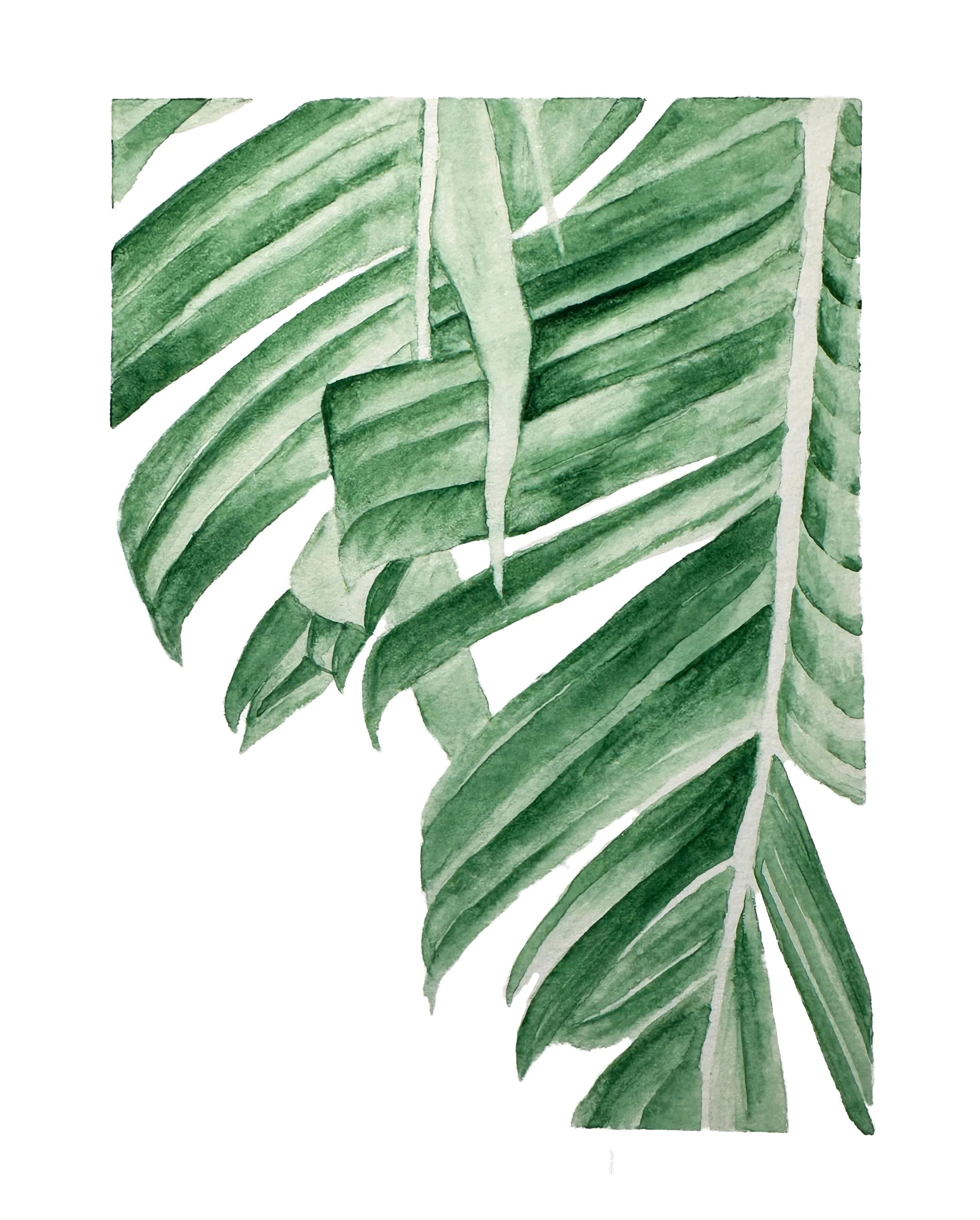 Palm Fronds green original_PRINT.jpg