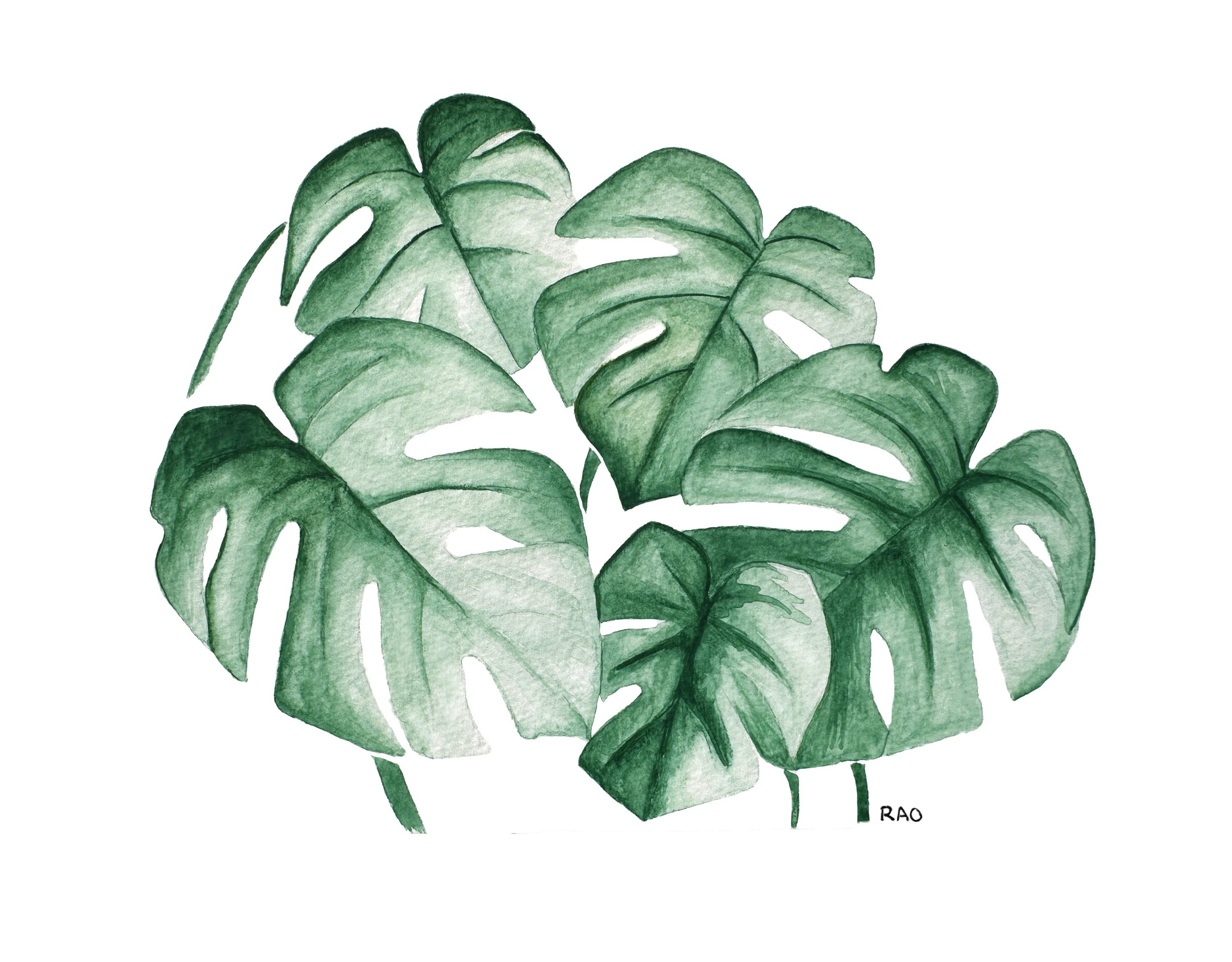 Monstera Leaves_PRINT.jpg