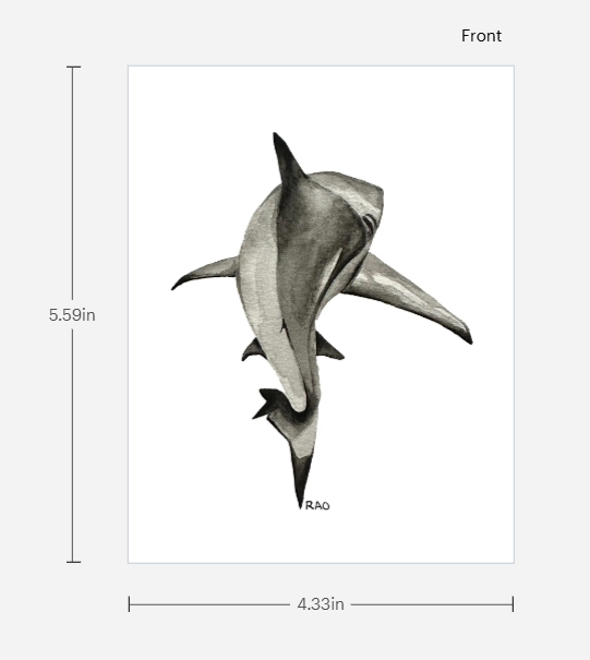 Great White Dims.png