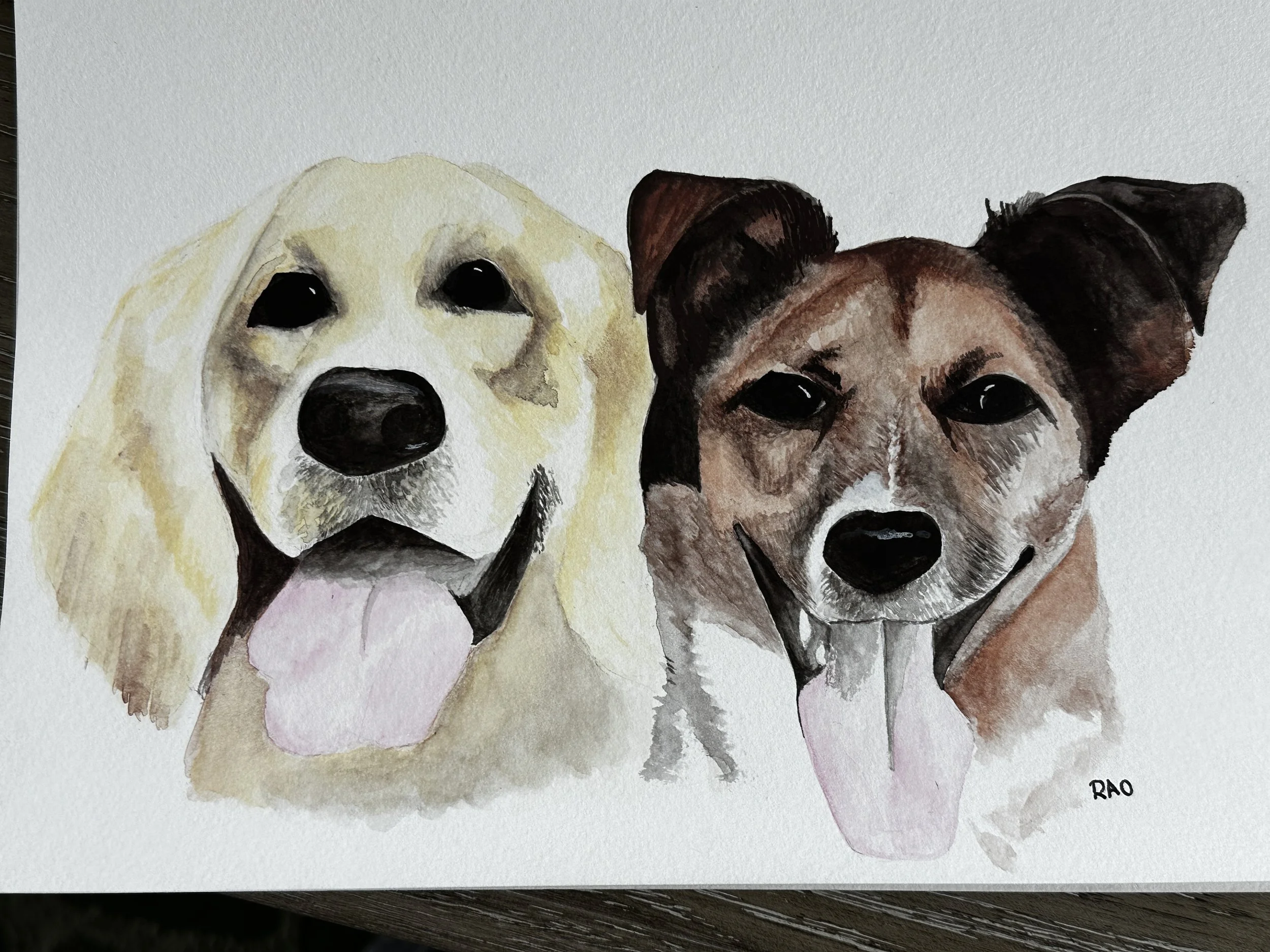 Happy family dogs in a car window