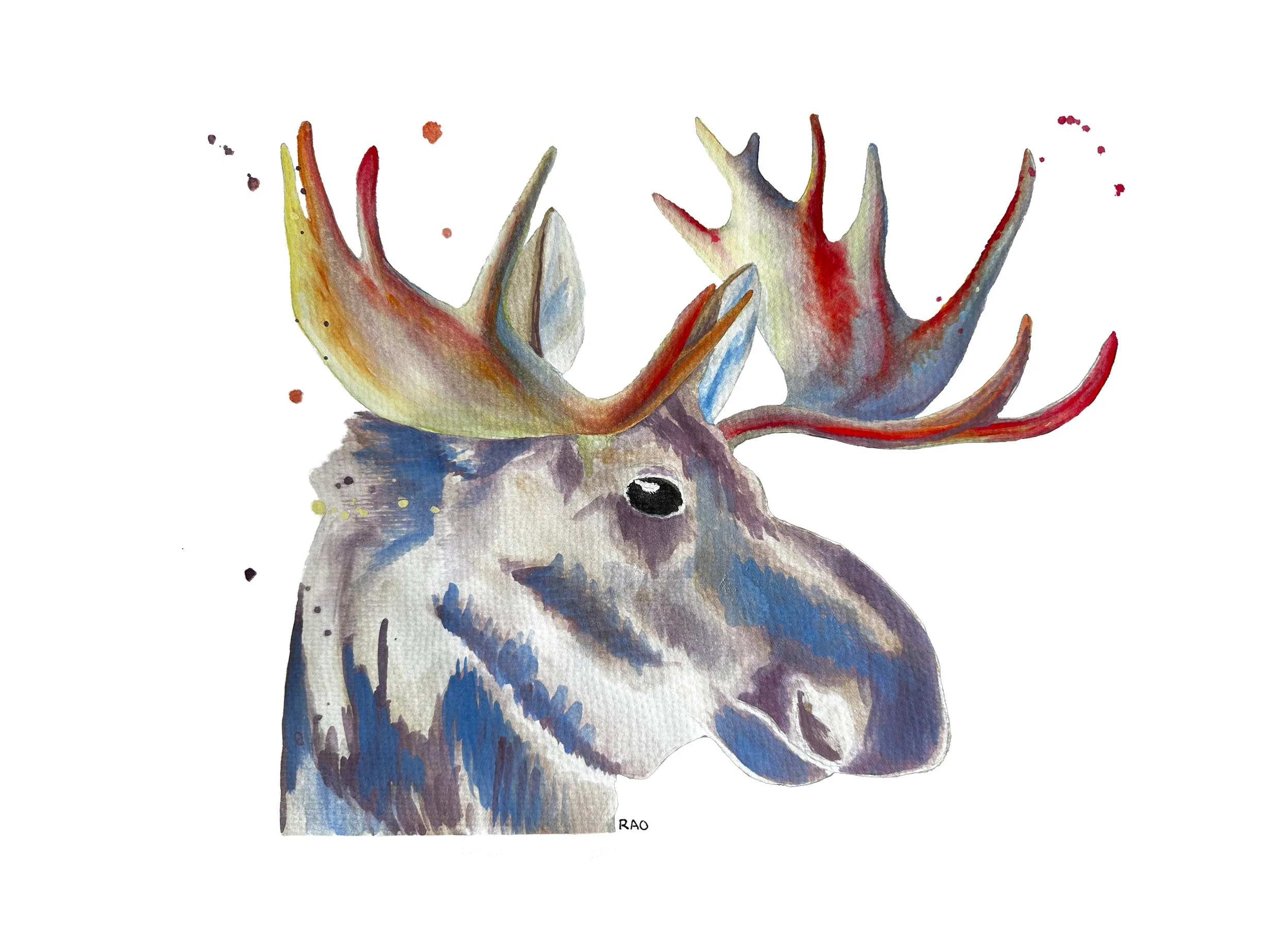 Bright Moose_PRINT.jpg