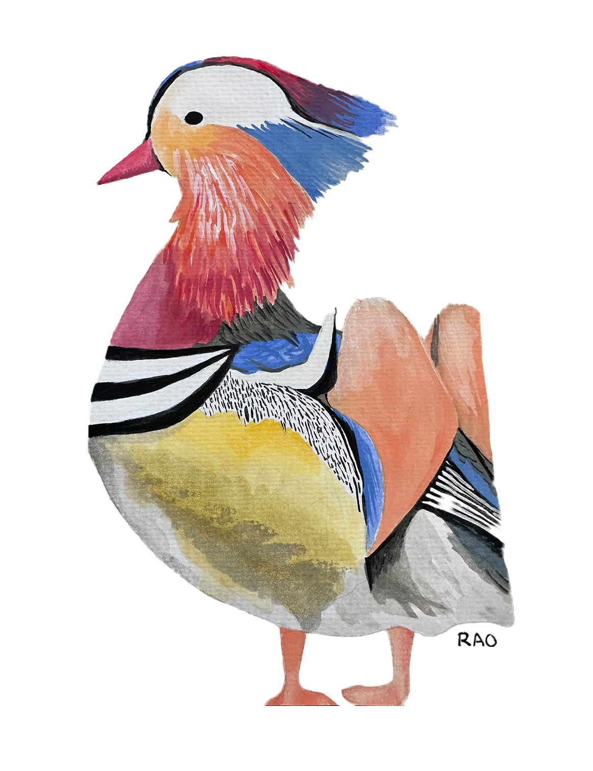 Mandarin Duck