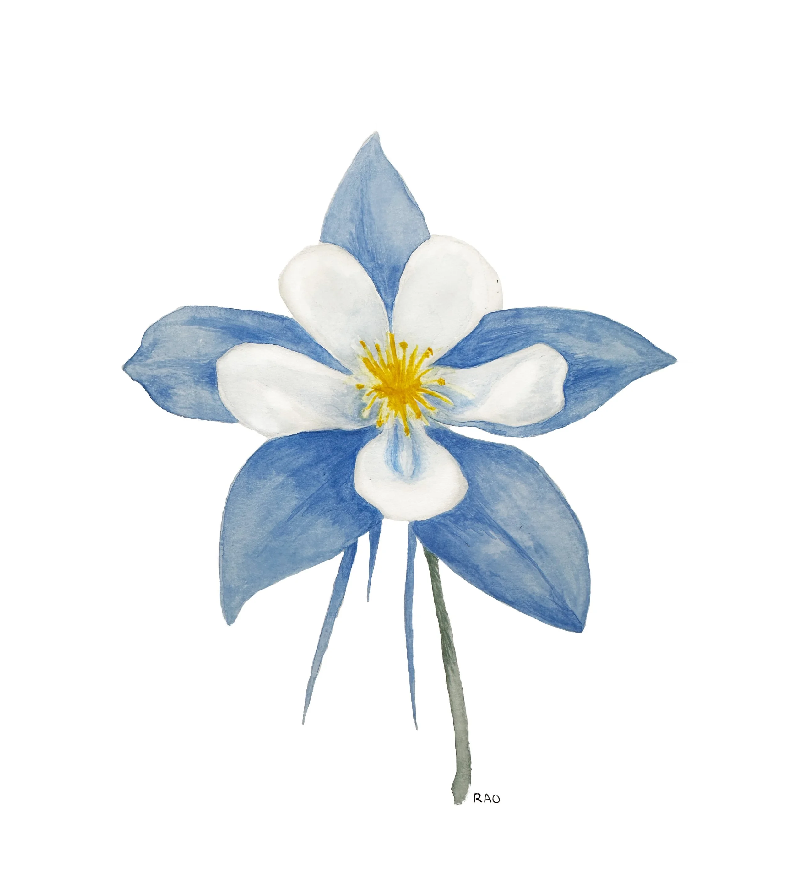 Columbine_PRINT.jpg