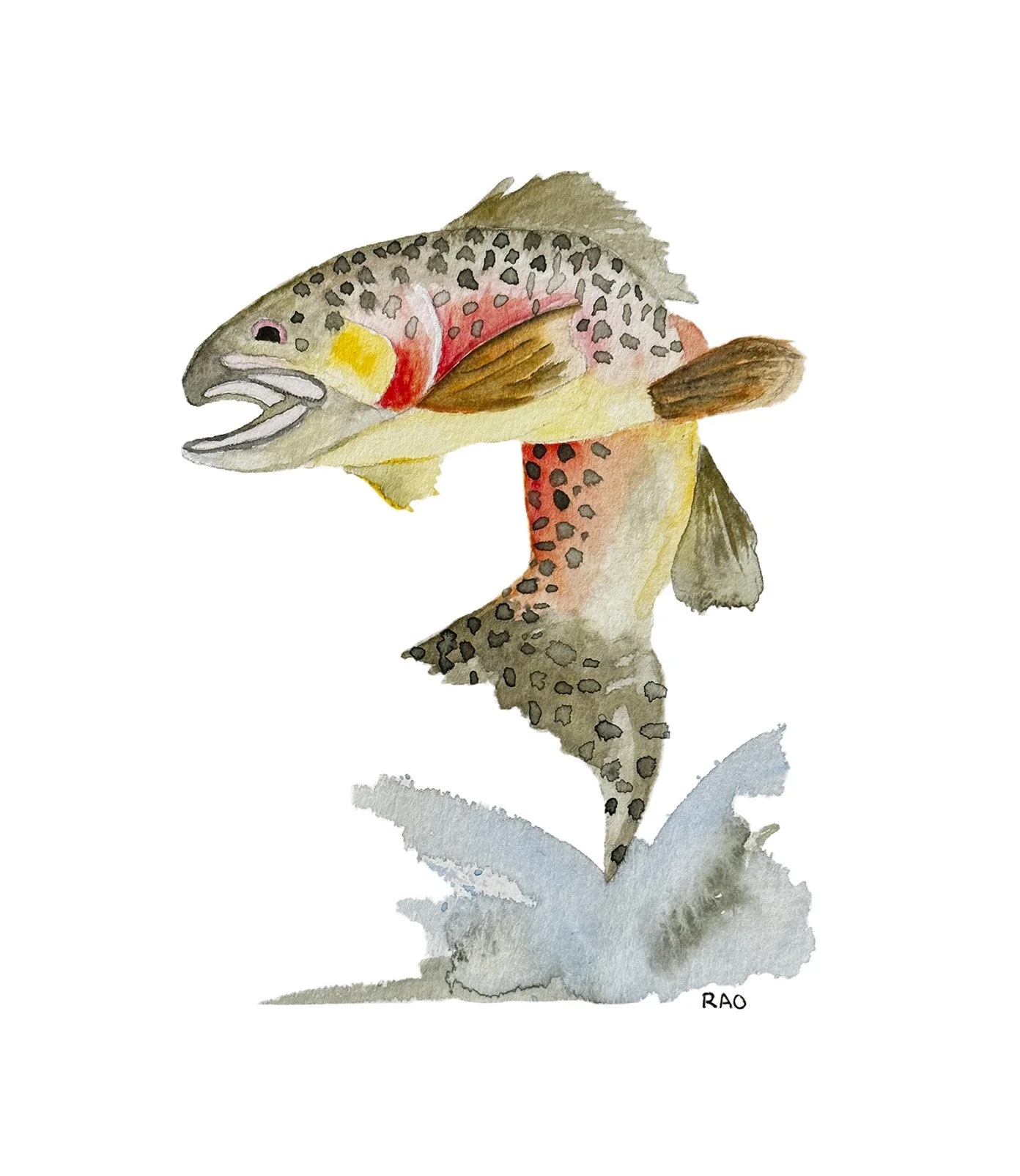 Jumping Trout