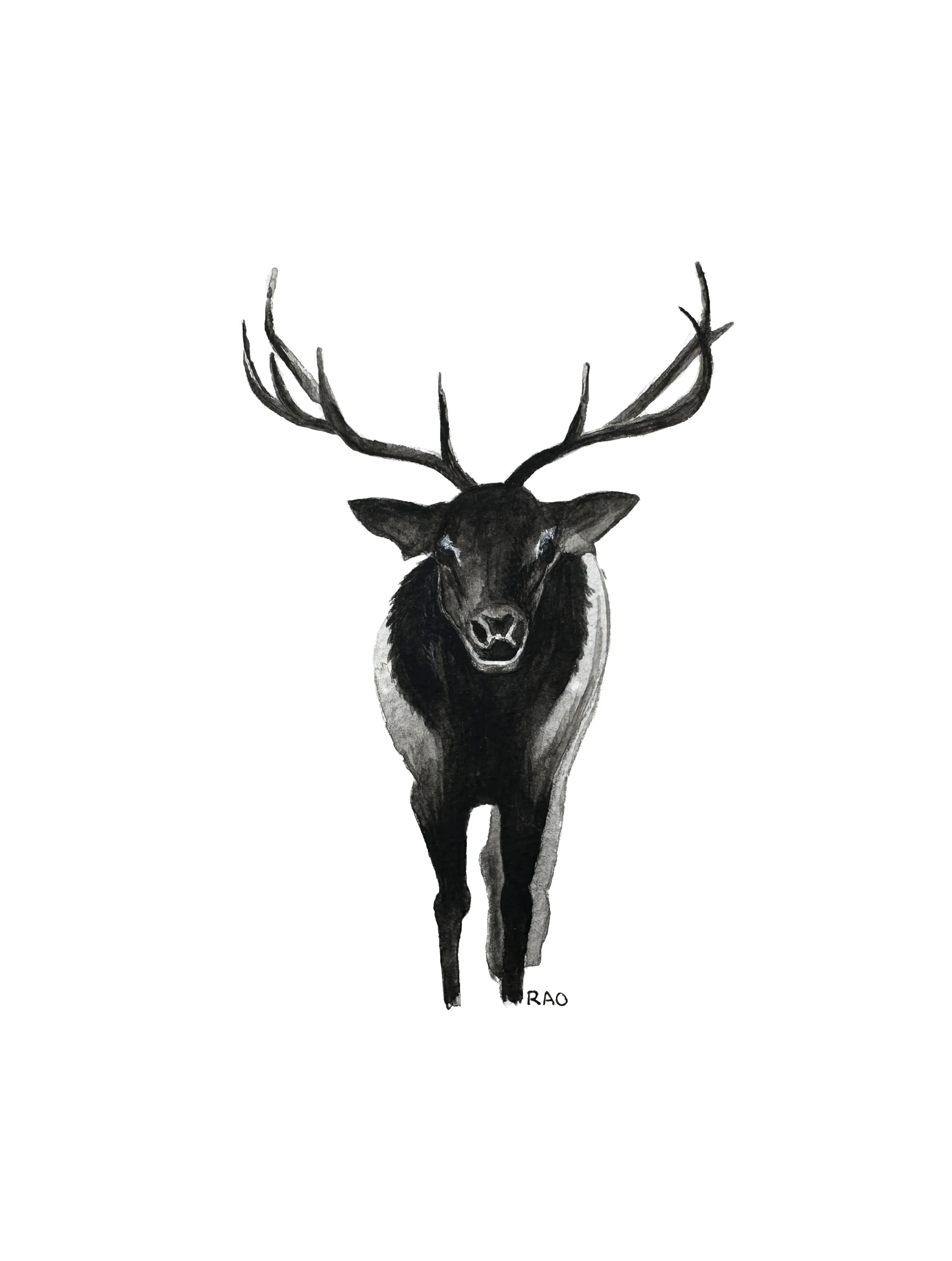 Elk_PRINT.jpg