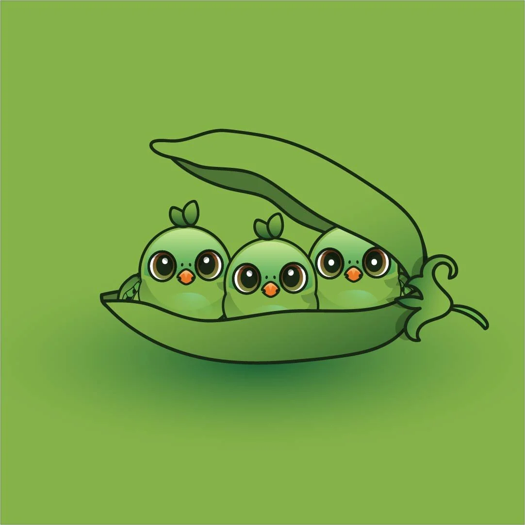 Chickpea_Illustrator.jpg