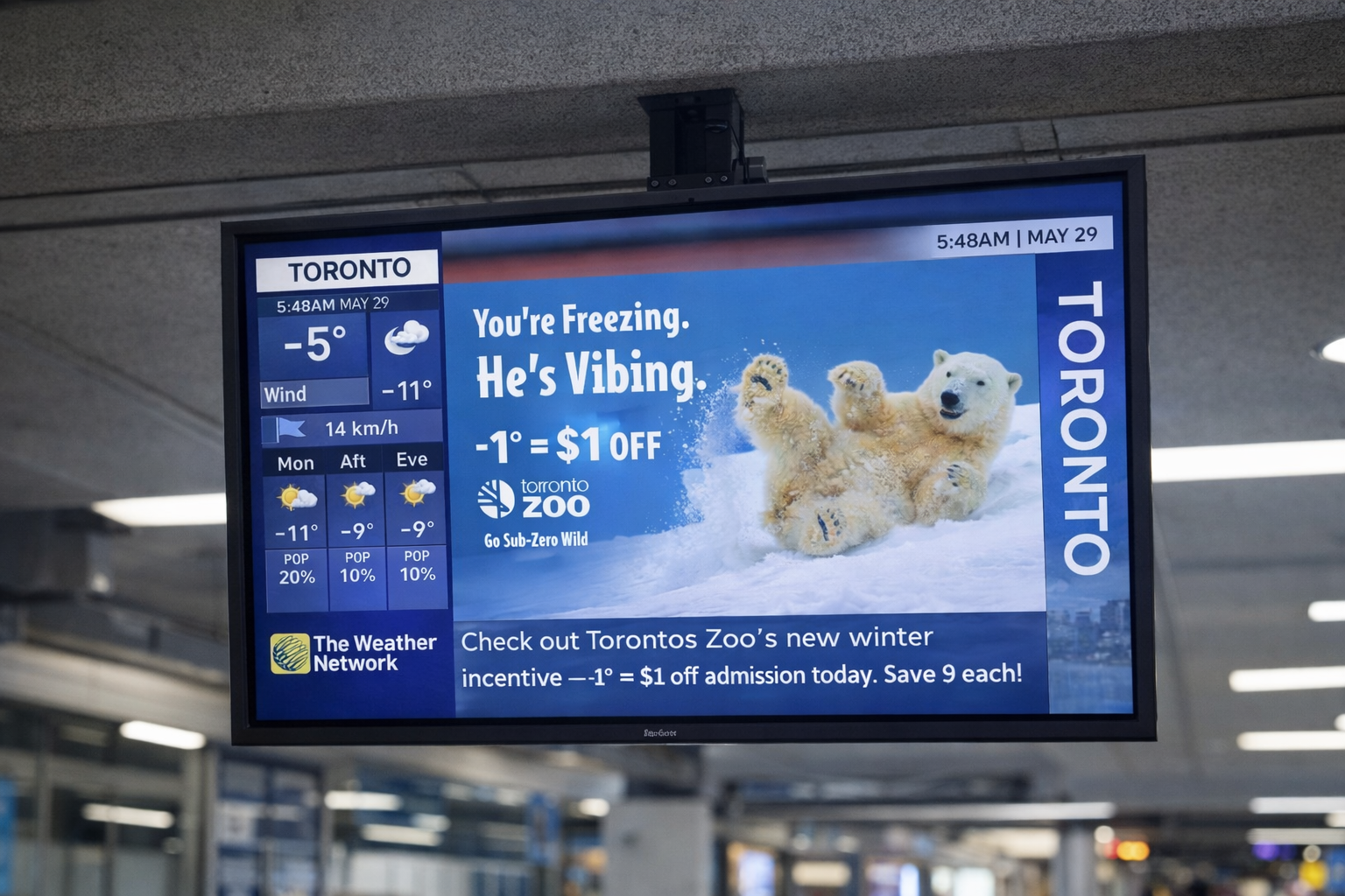 Digital display at Toronto transit station showing weather forecast, advertisements for Toronto Zoo with a polar bear and cubs, and noted temperatures of -5°C, wind at -11°C, and forecasted weather conditions.