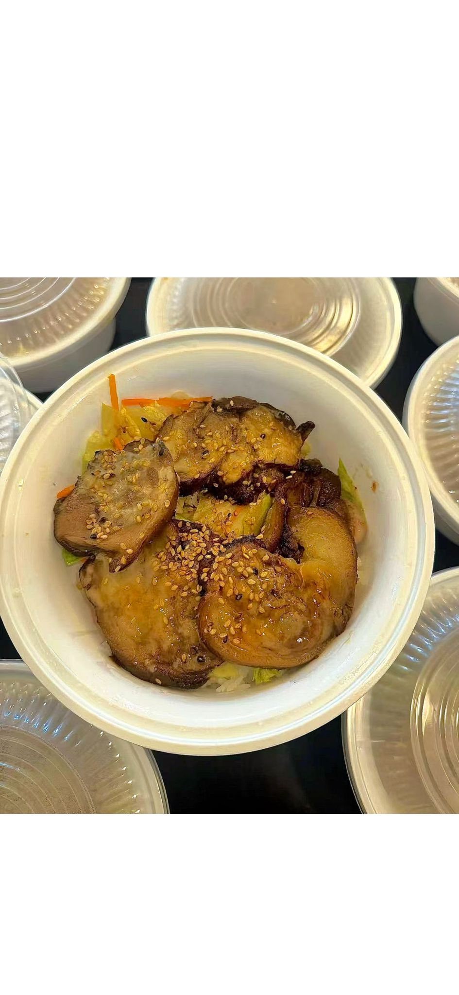 Chashu Pork on Rice.png