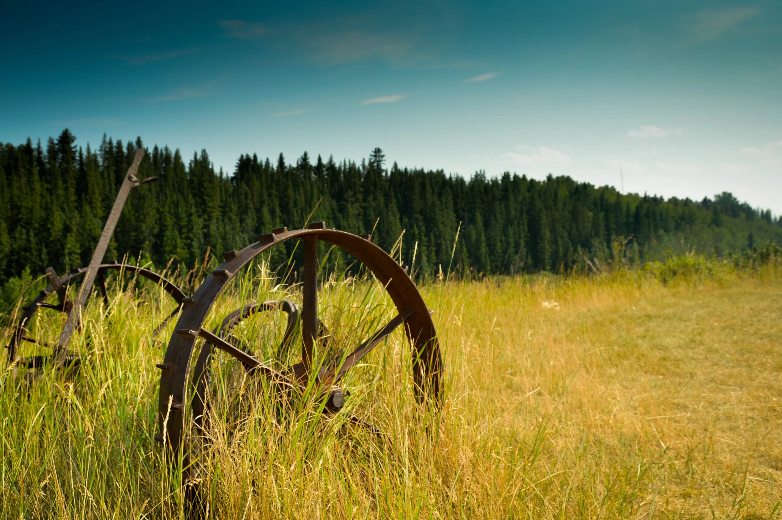 Image of Cochrane's rural character; rusted ploughshare in a rural setting.