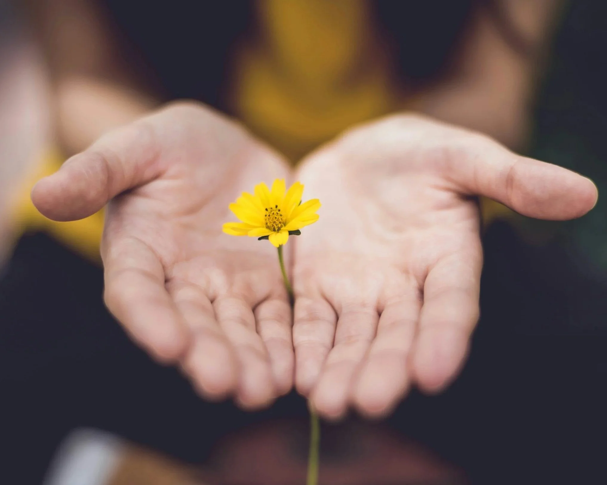 helping sessions, counselling UK, PL, talk therapy