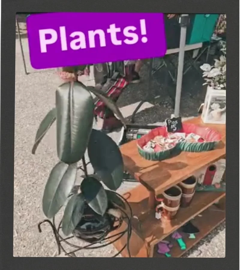 Little-Avocado-Stand-Vendor.jpg