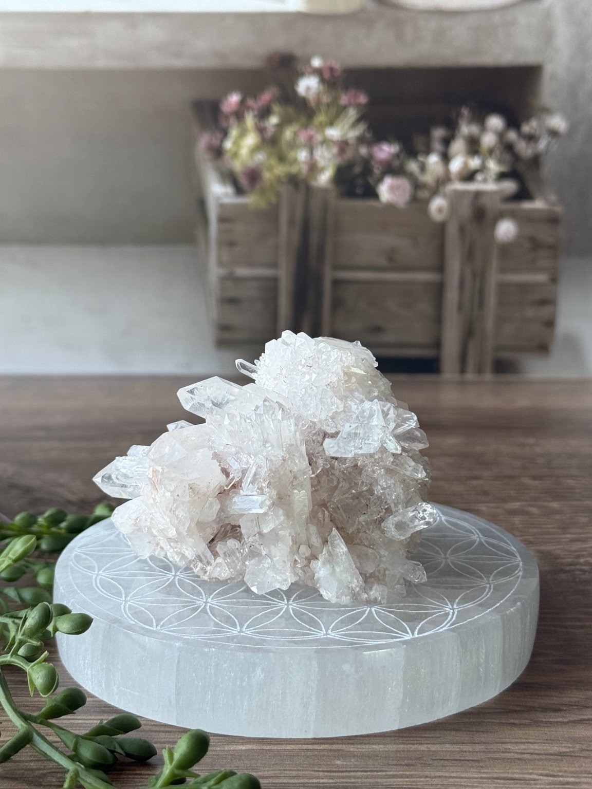 Pink Lemurian Quartz Cluster