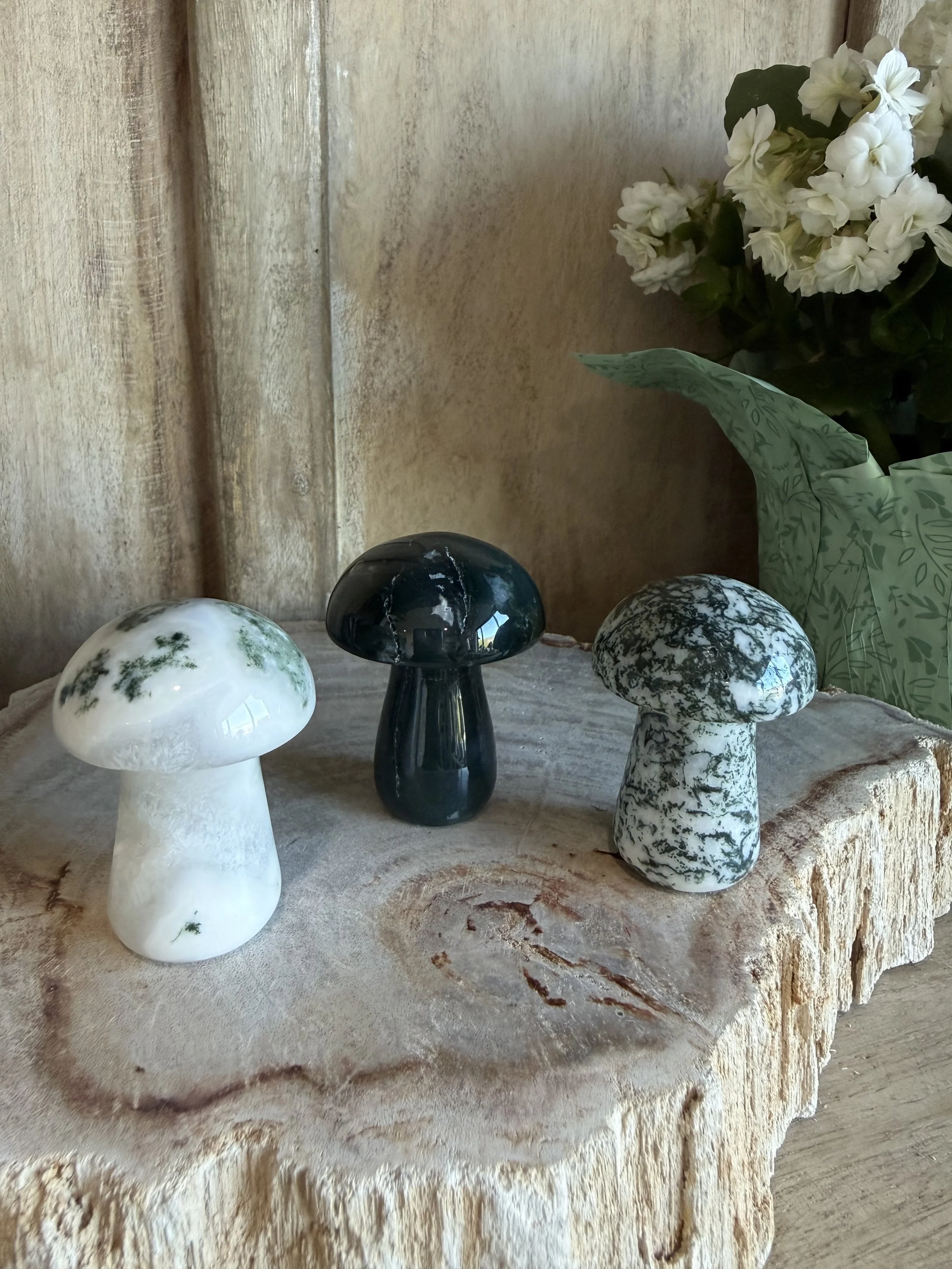 Moss Agate Mushrooms