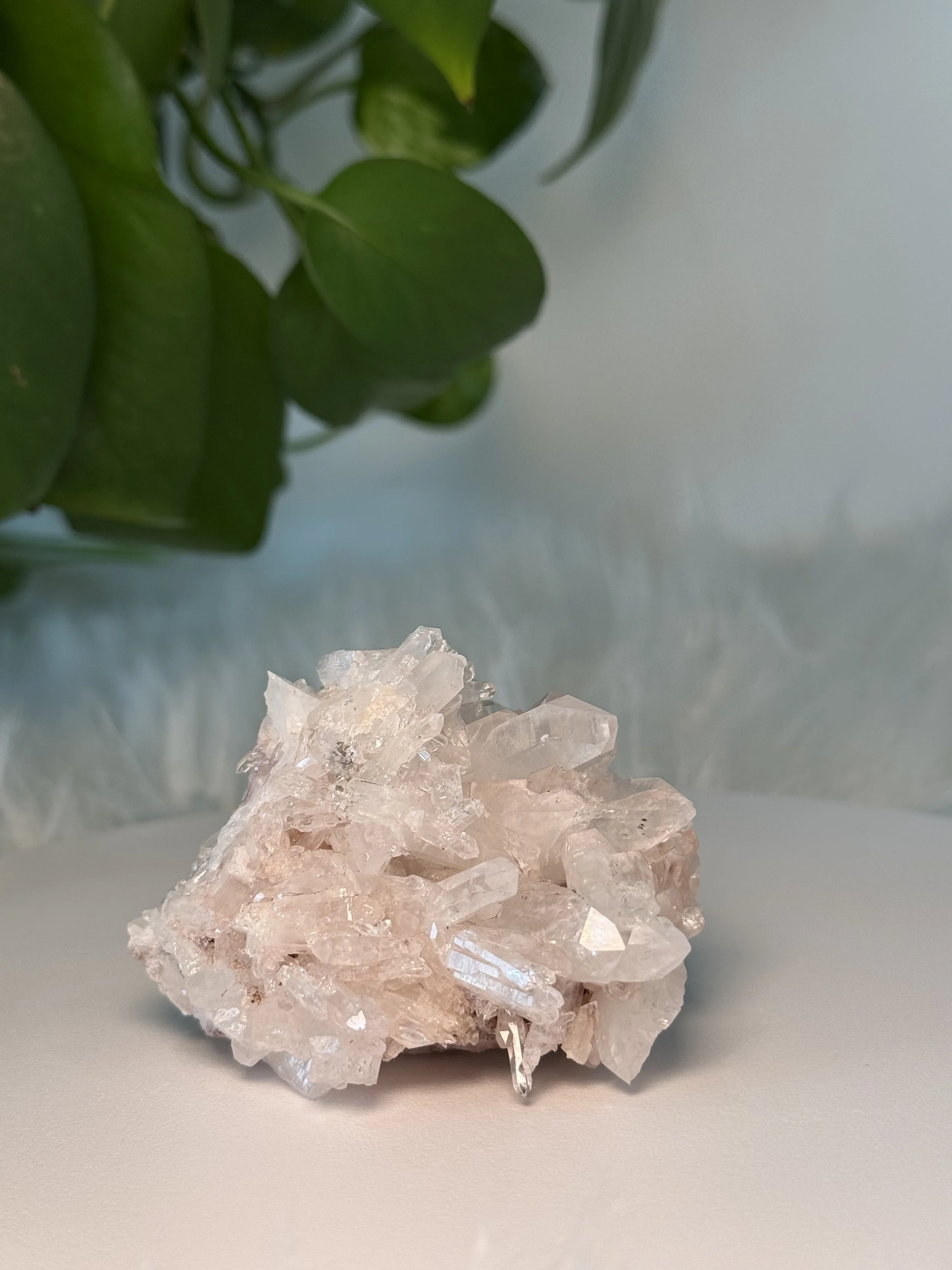 High Vibe Lemurian Quartz Cluster
