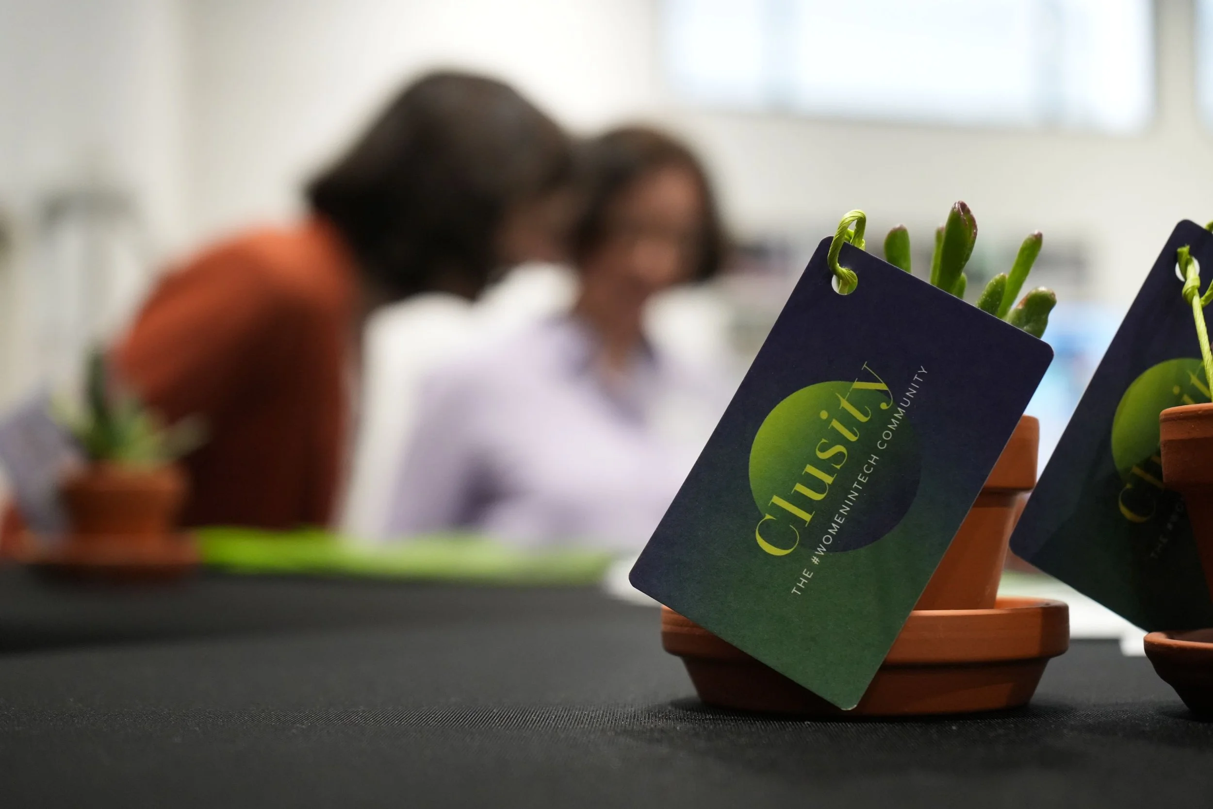 Close-up of potted succulents with a tag reading 'Civility, the women in the background are blurred.