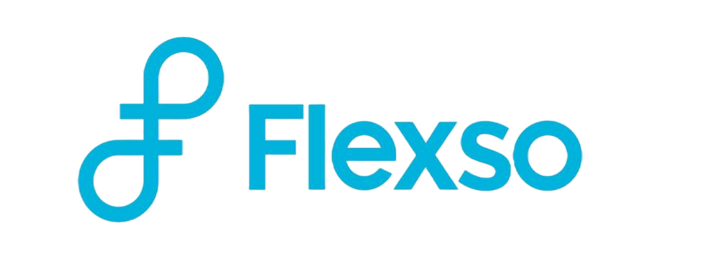 logo flexso