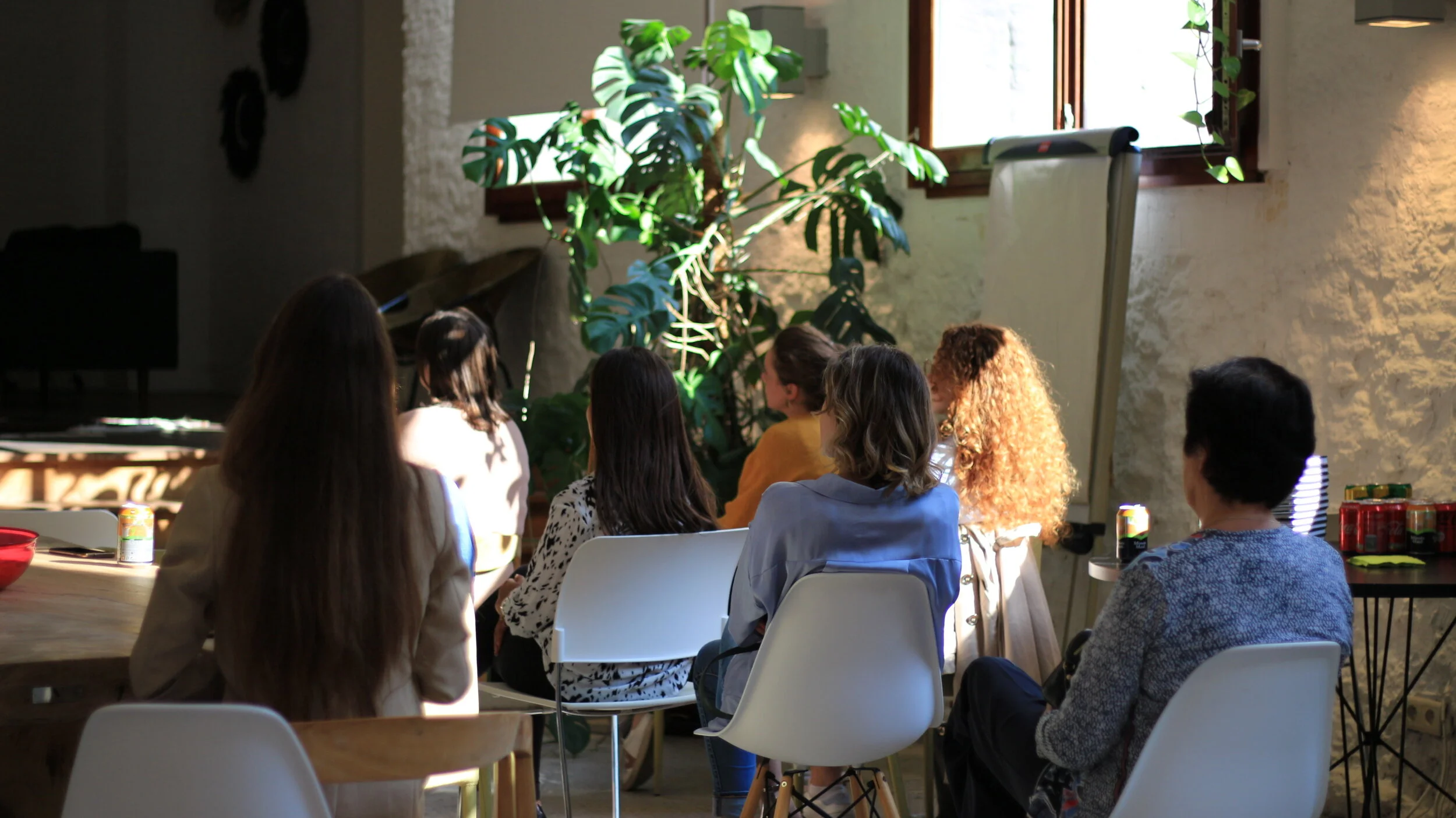 Group of women sitting in a sunlit room, facing away from the camera, during a meeting or workshop, with a large indoor plant and window in the background.