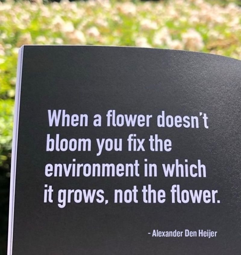 Quote saying, "When a flower doesn’t bloom you fix the environment in which it grows, not the flower" by Alexander Den Heijer, on a black background with white text, outdoors with blurred greenery in the background.