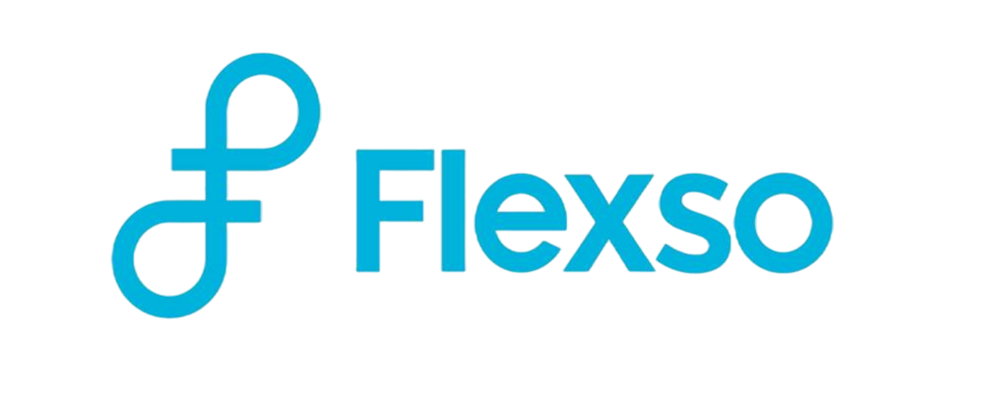 logo flexso