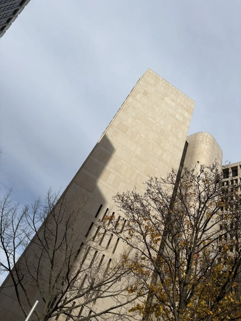Tall beige modern building with curved features and narrow vertical windows, partially in shadow, with leafless trees in the foreground against a clear sky.