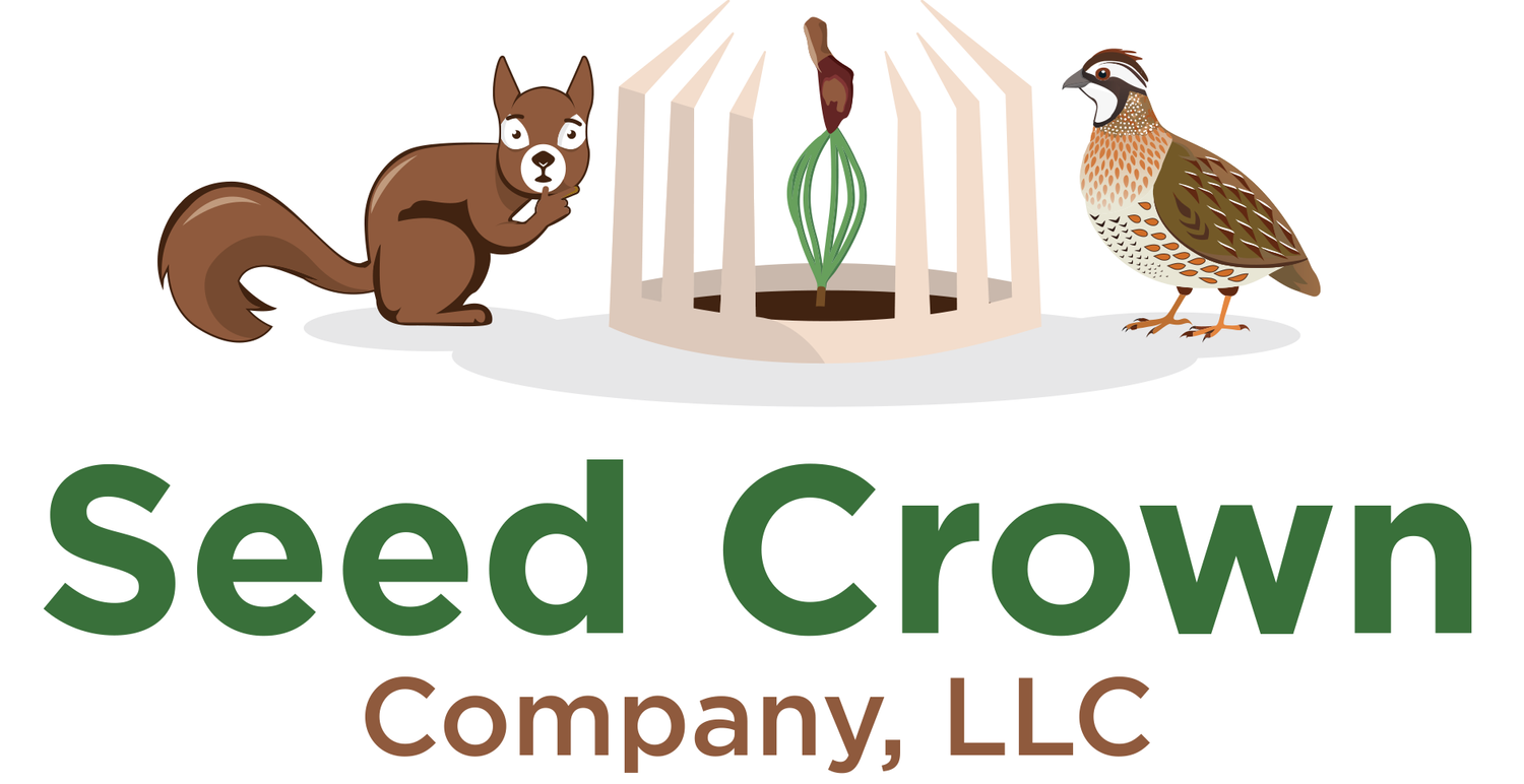 Seed Crown® Protecting Seeds and  Tender Young Plants  from Predators