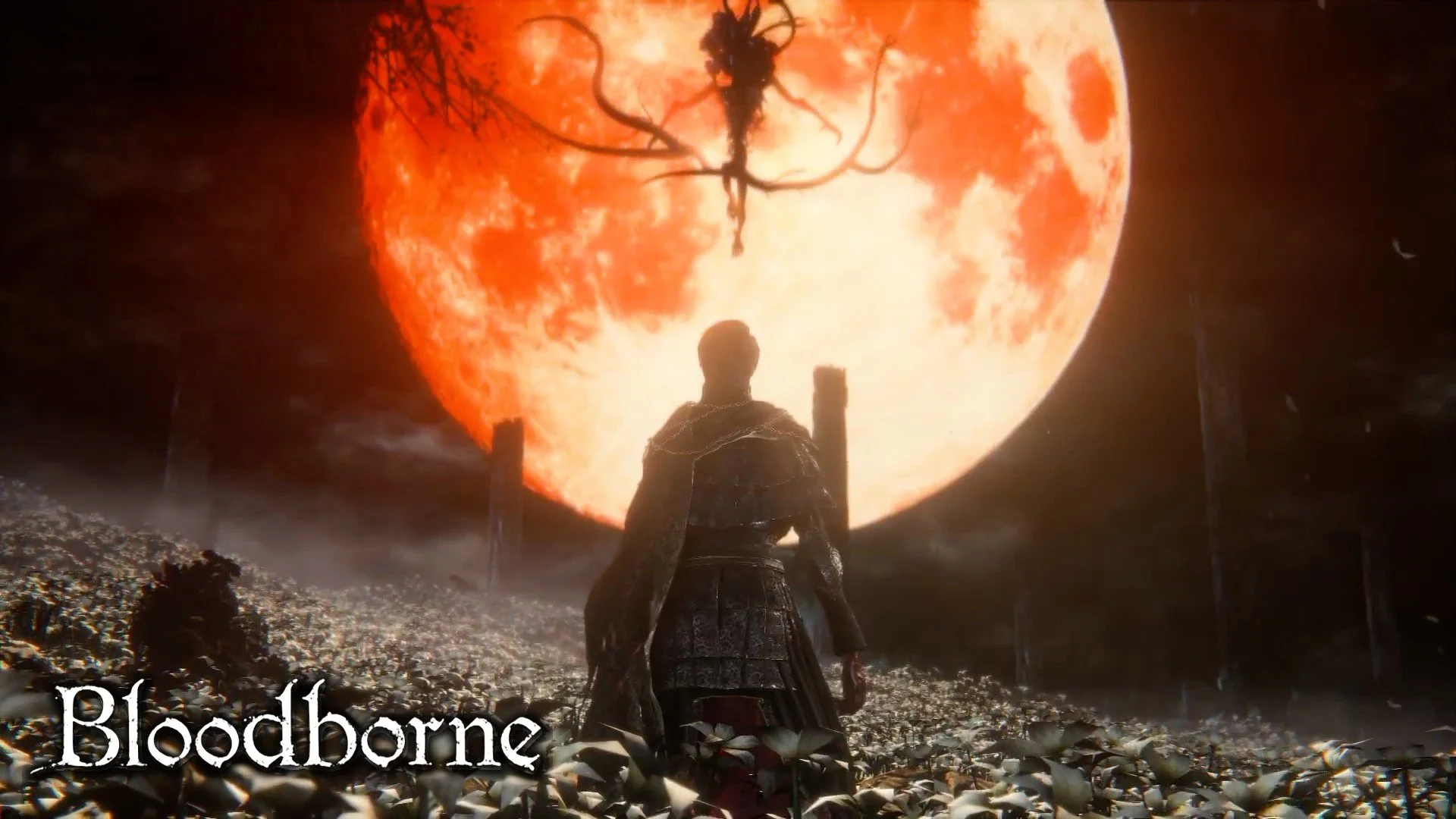 Bloodborne AMV