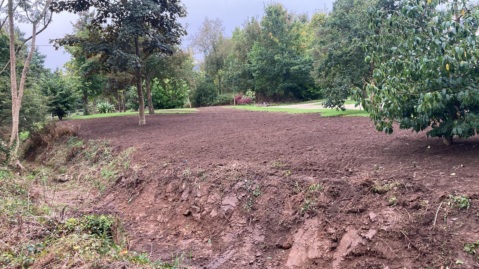 A cleared patch of soil in a park or garden with trees and greenery in the background.