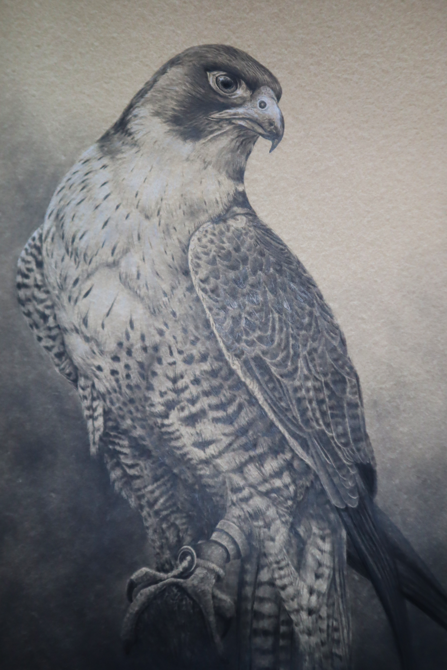 'Silent Watch (2025)
Charcoal and graphite on paper — 100 × 90 cm
Status: Available