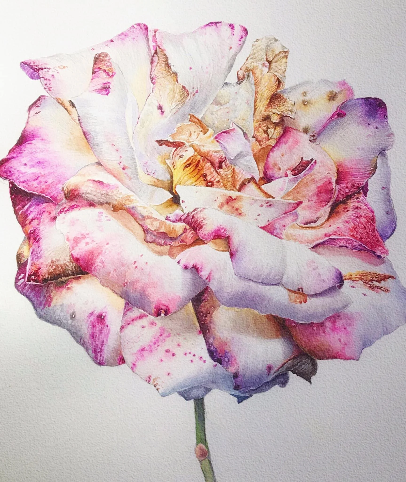 Behold Me
Watercolor on paper — 30 × 42 cm
Status: Available