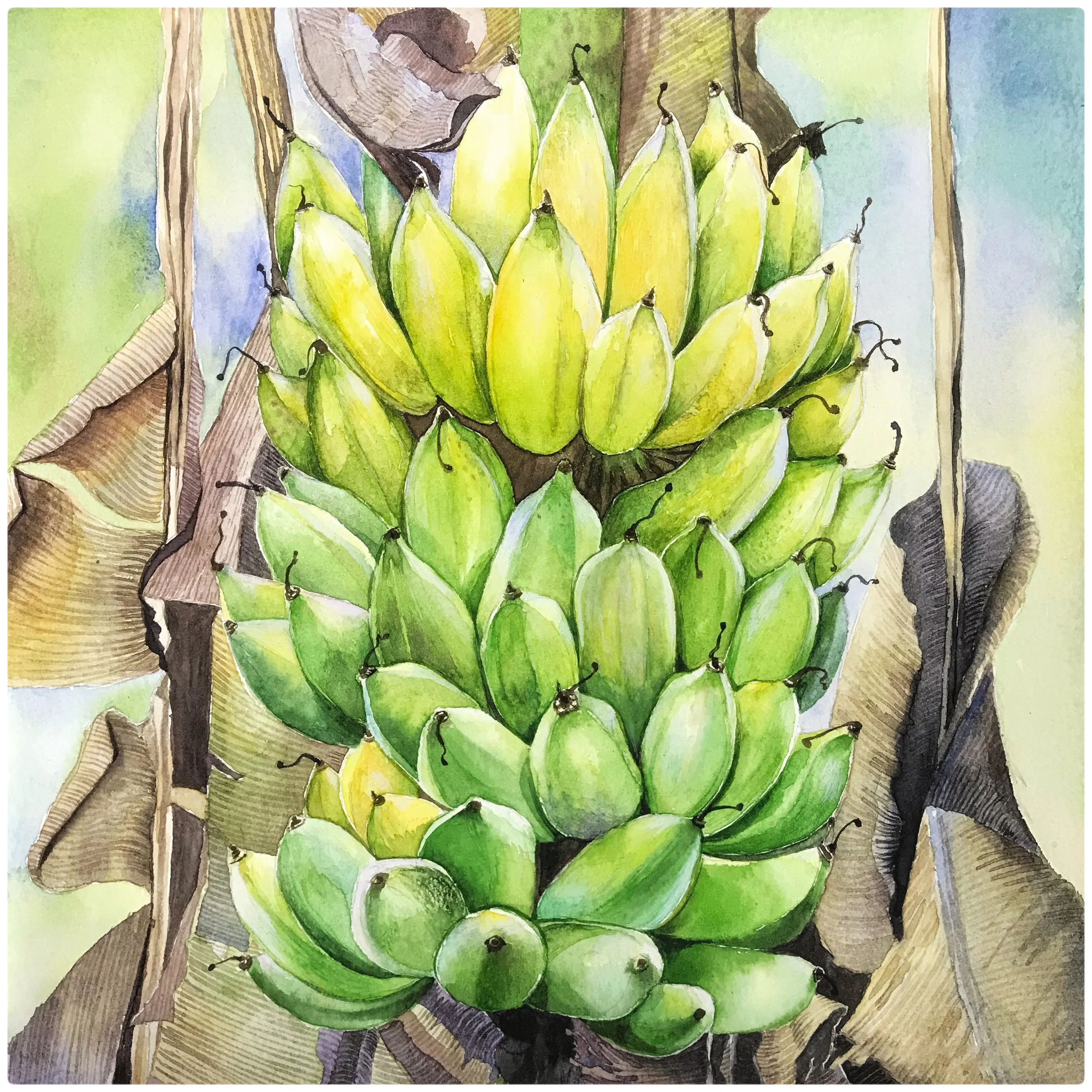 Ripening Offering (2023)
Watercolor on paper — 30 × 42 cm
Status: Available