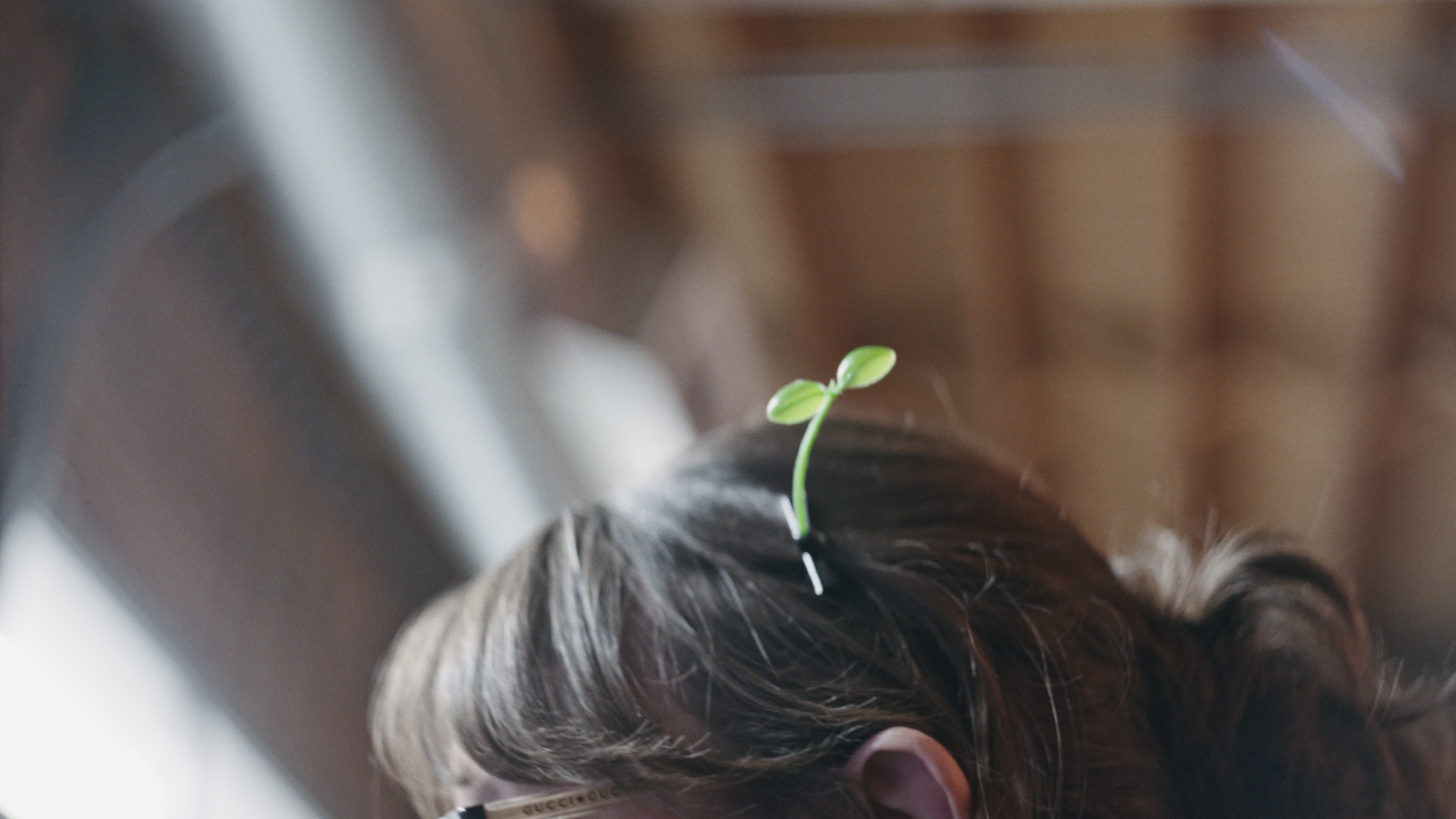 Inner Child Popup_v1_1.169.1.png