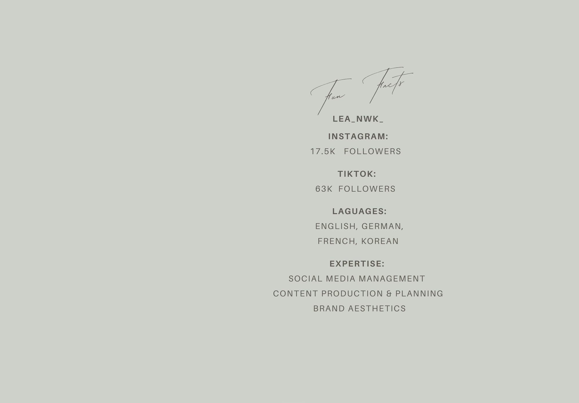 A minimalist Instagram bio card with handwritten text that says 'Fun Facts' about the founder, displaying social media handles for Instagram and TikTok, follower counts, languages spoken, and areas of expertise on a light grey background.