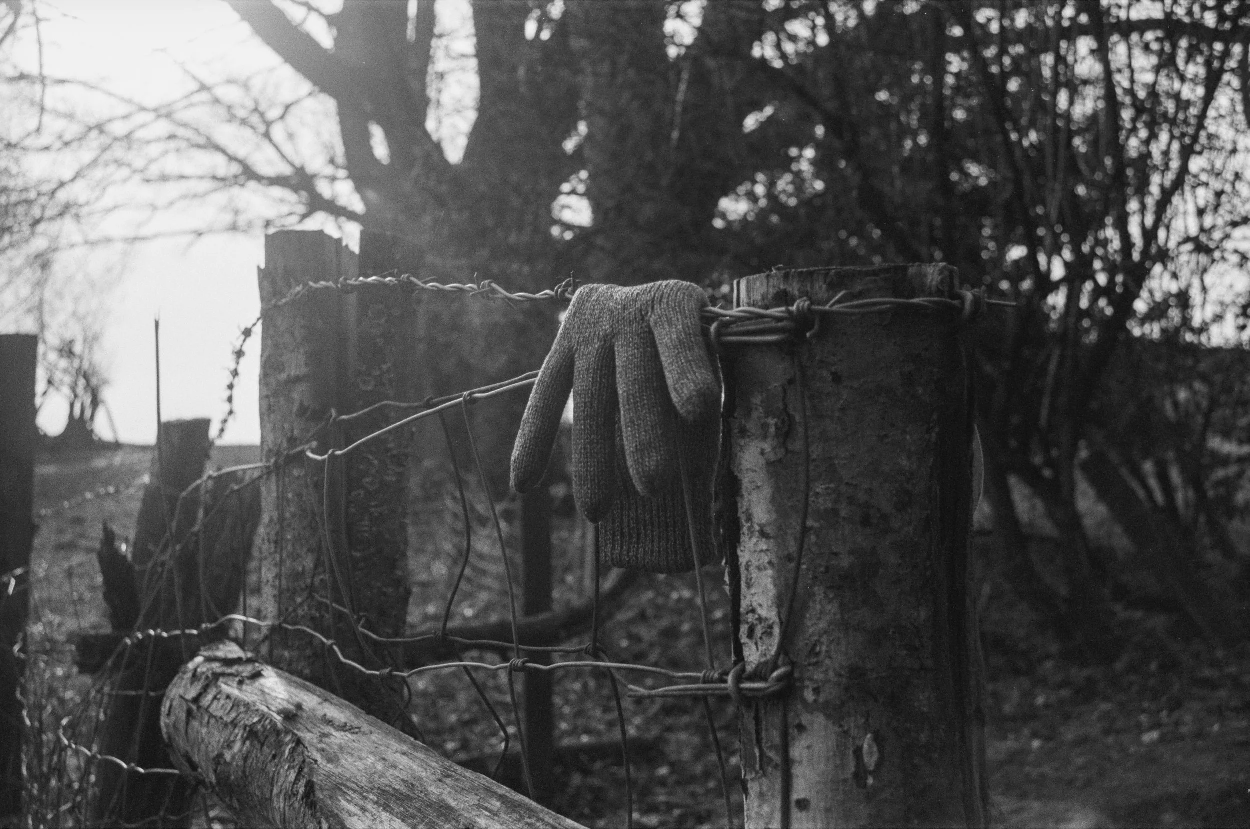Nikon FE Ilford HP5 Plus 400, Hergest Ridge