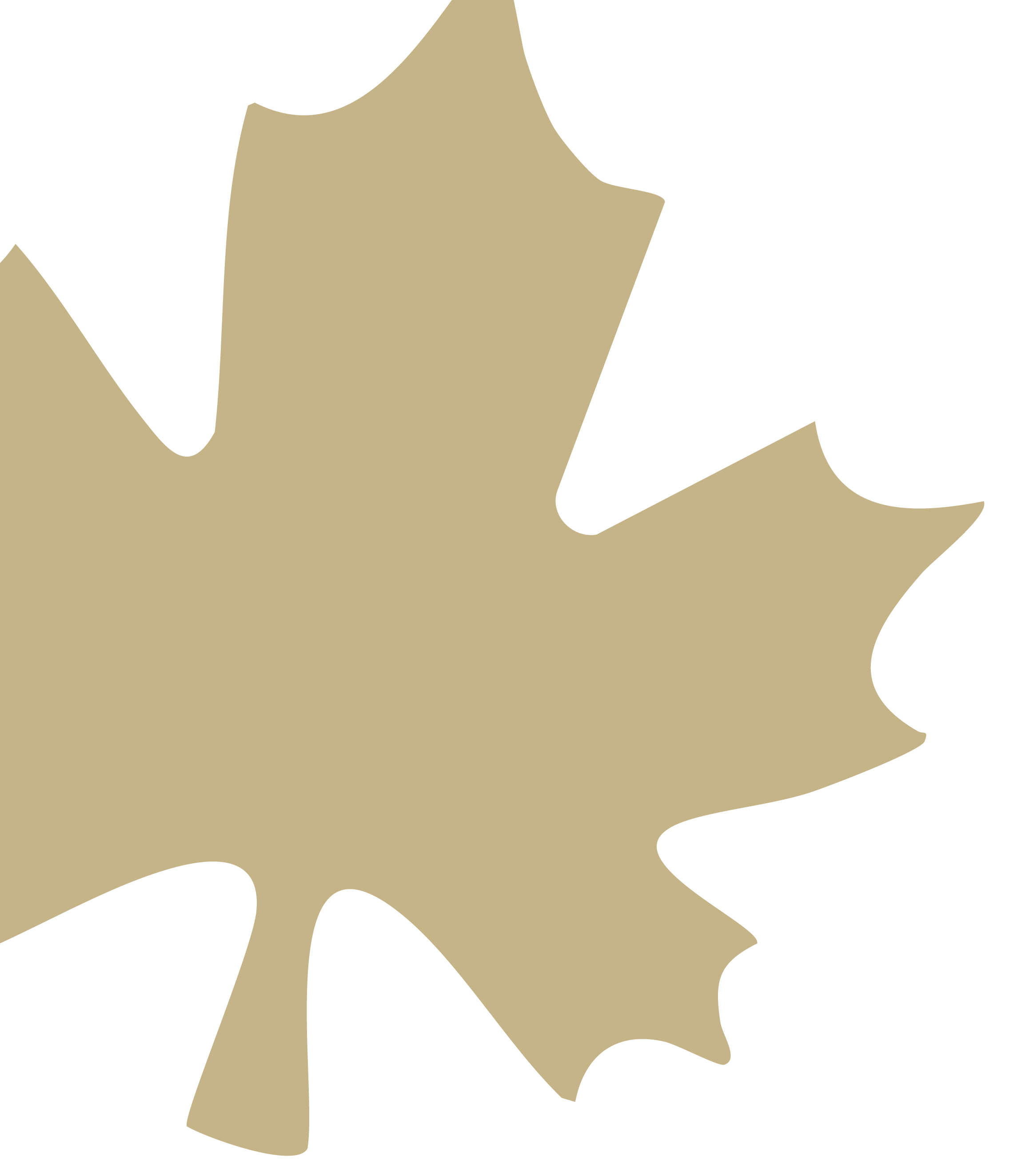 A beige maple leaf silhouette with a black background.
