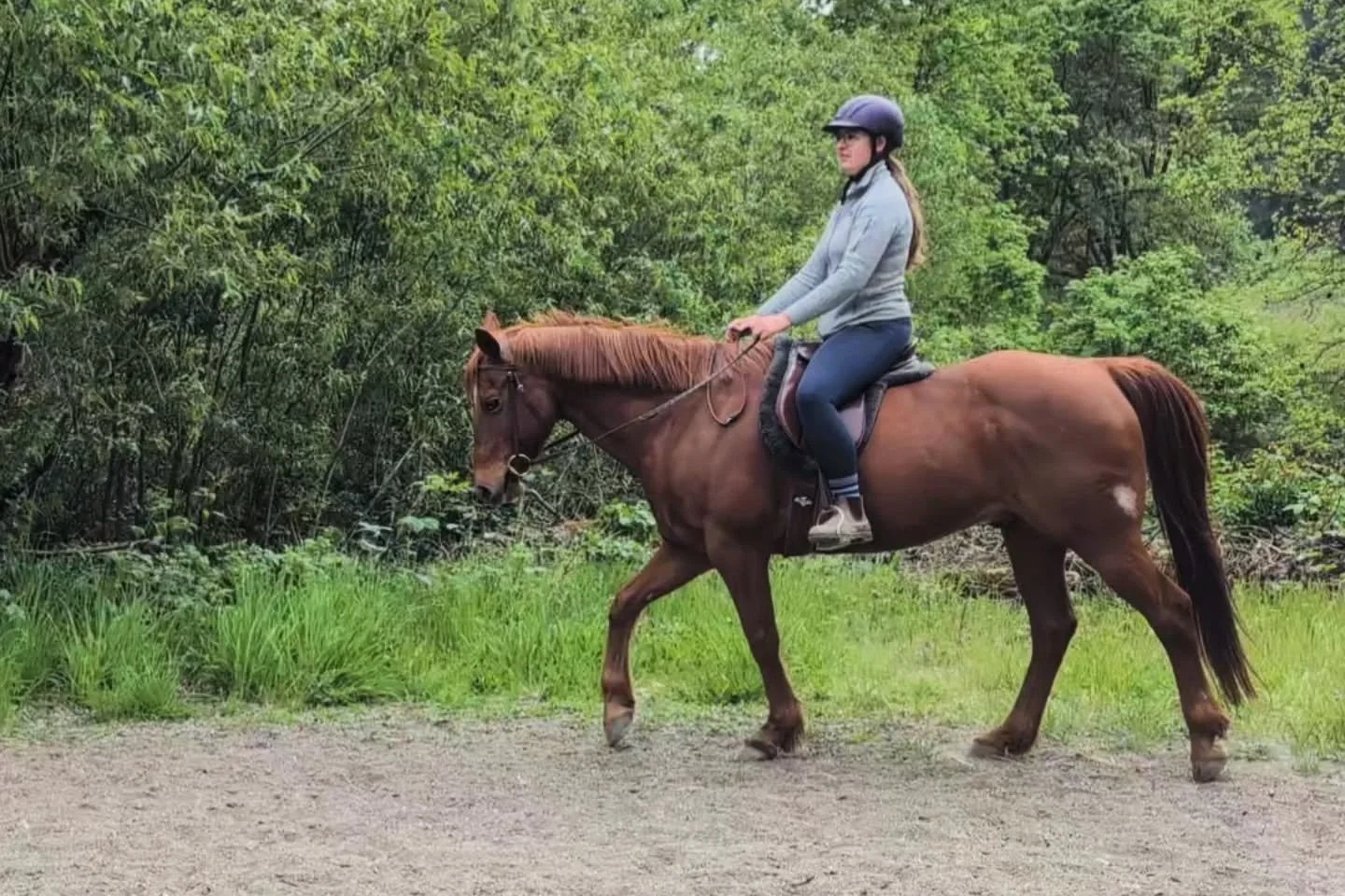 A woman riding a brown horse on a trail surrounded by green trees.