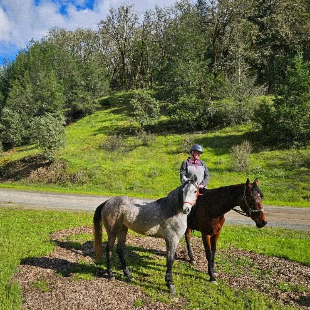 A person riding a brown horse and a smaller gray horse in a grassy outdoor area with trees and hills in the background.