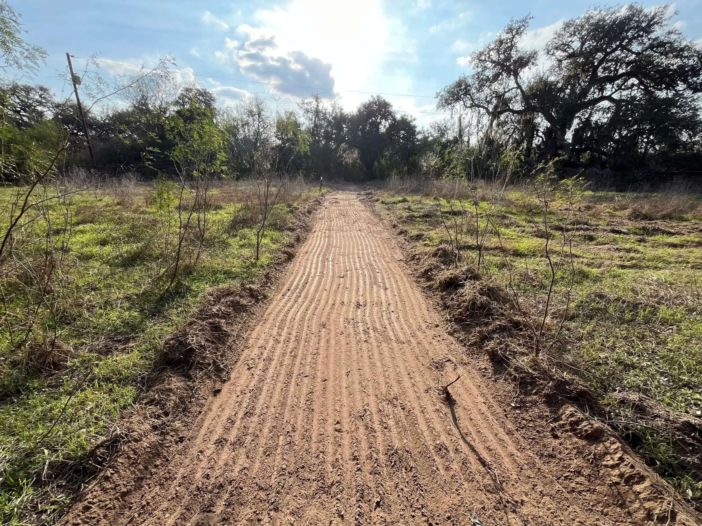 A dirt footpath running through a grassy, open field with sparse trees on either side, under a bright sky with some clouds.