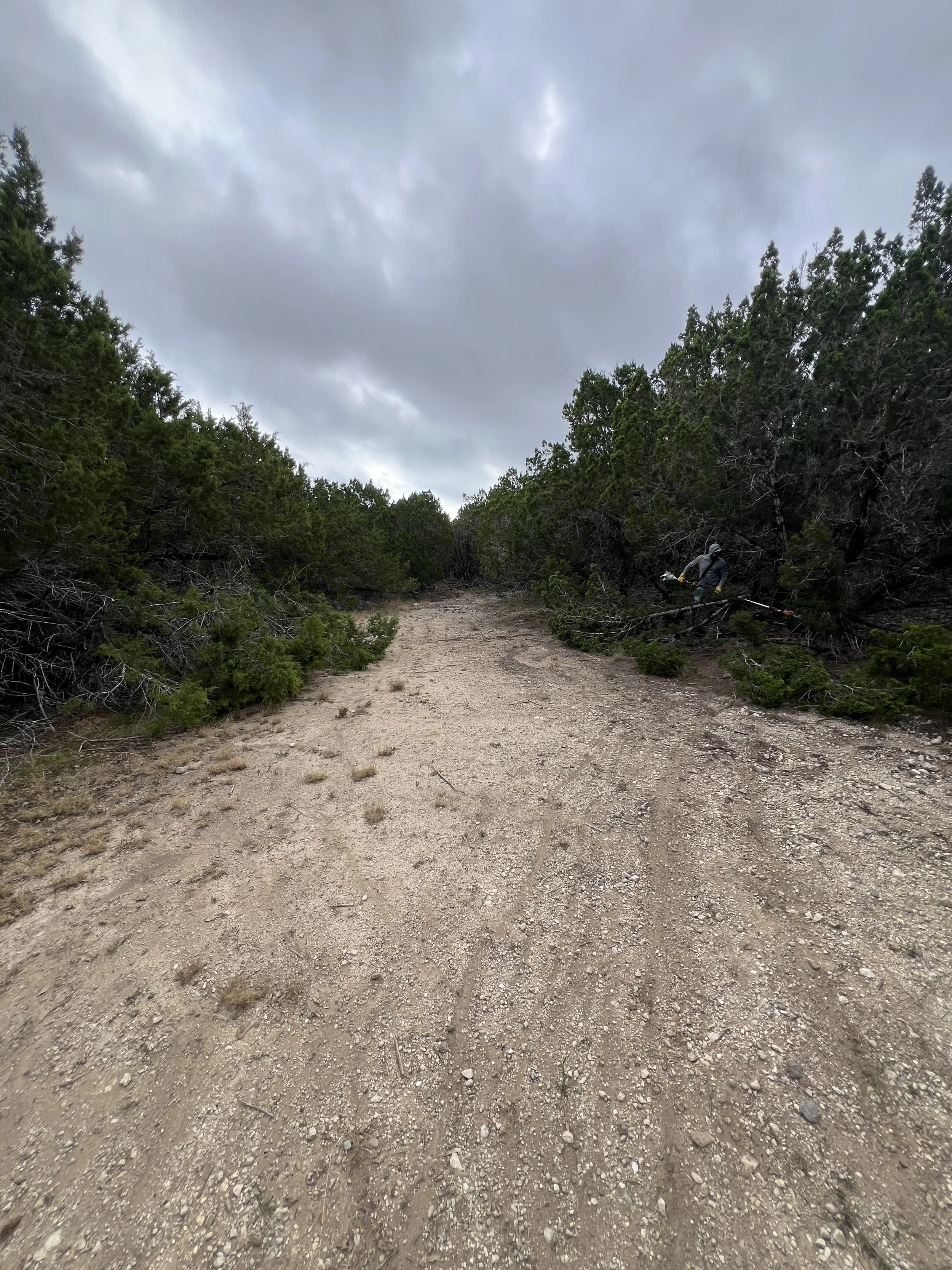 A dirt trail winding through a forested area on a cloudy day, with a person using a brush cutter on the right side.