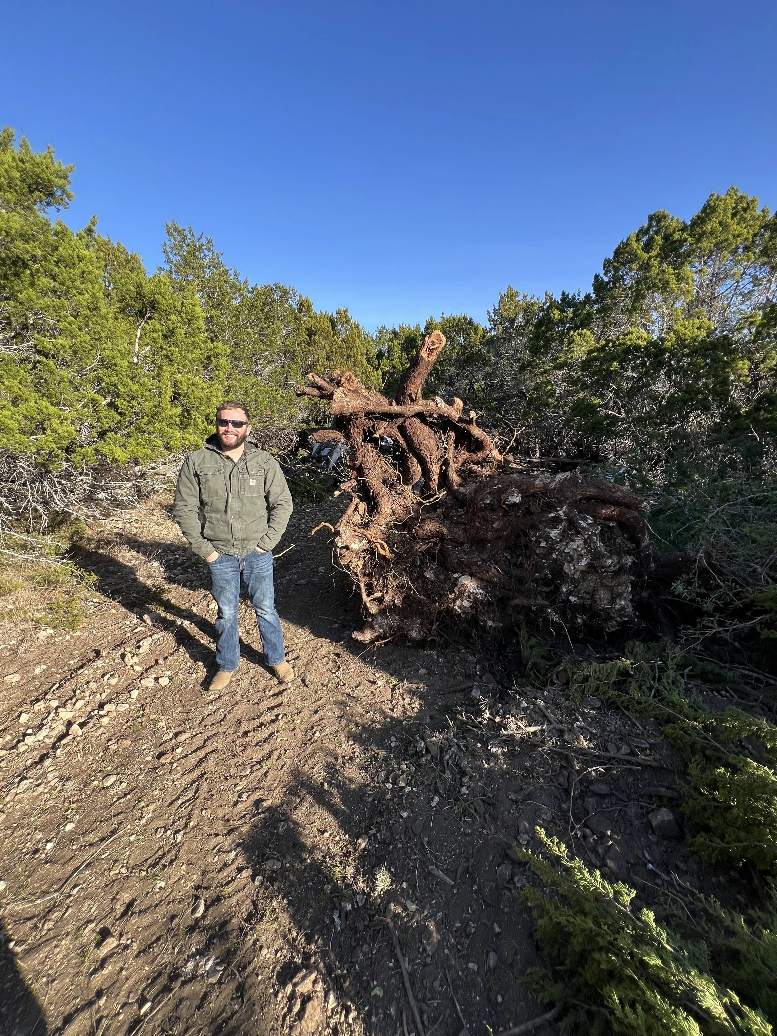 Man standing on dirt trail next to a large fallen tree on a sunny day with forest in the background