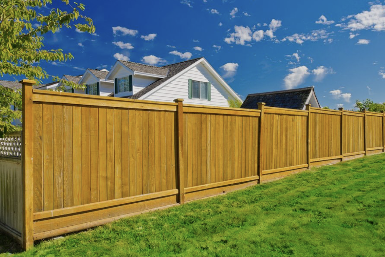 Screenshot 2026-03-01 at 2.49.12 PM.png