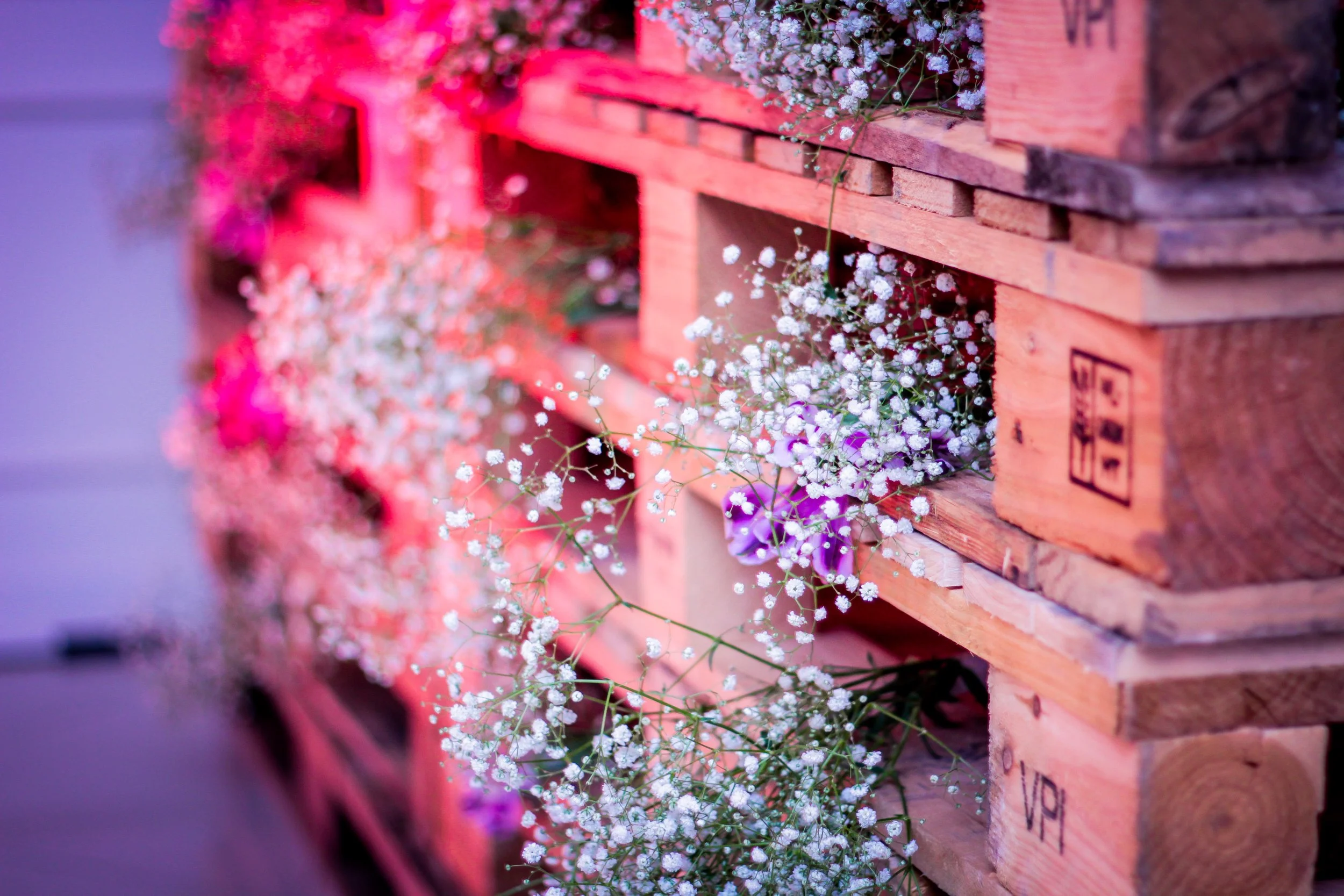 Flores brancas, roxas e rosas em pallet de madeira decorativo.