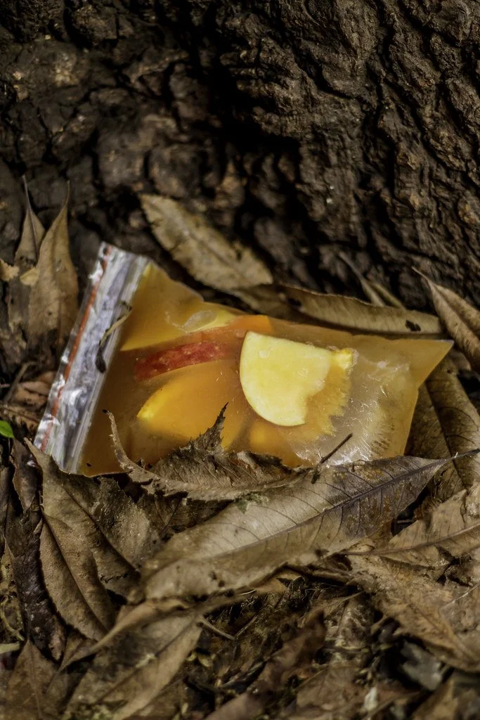 gastronomia_54270718405_l.jpg